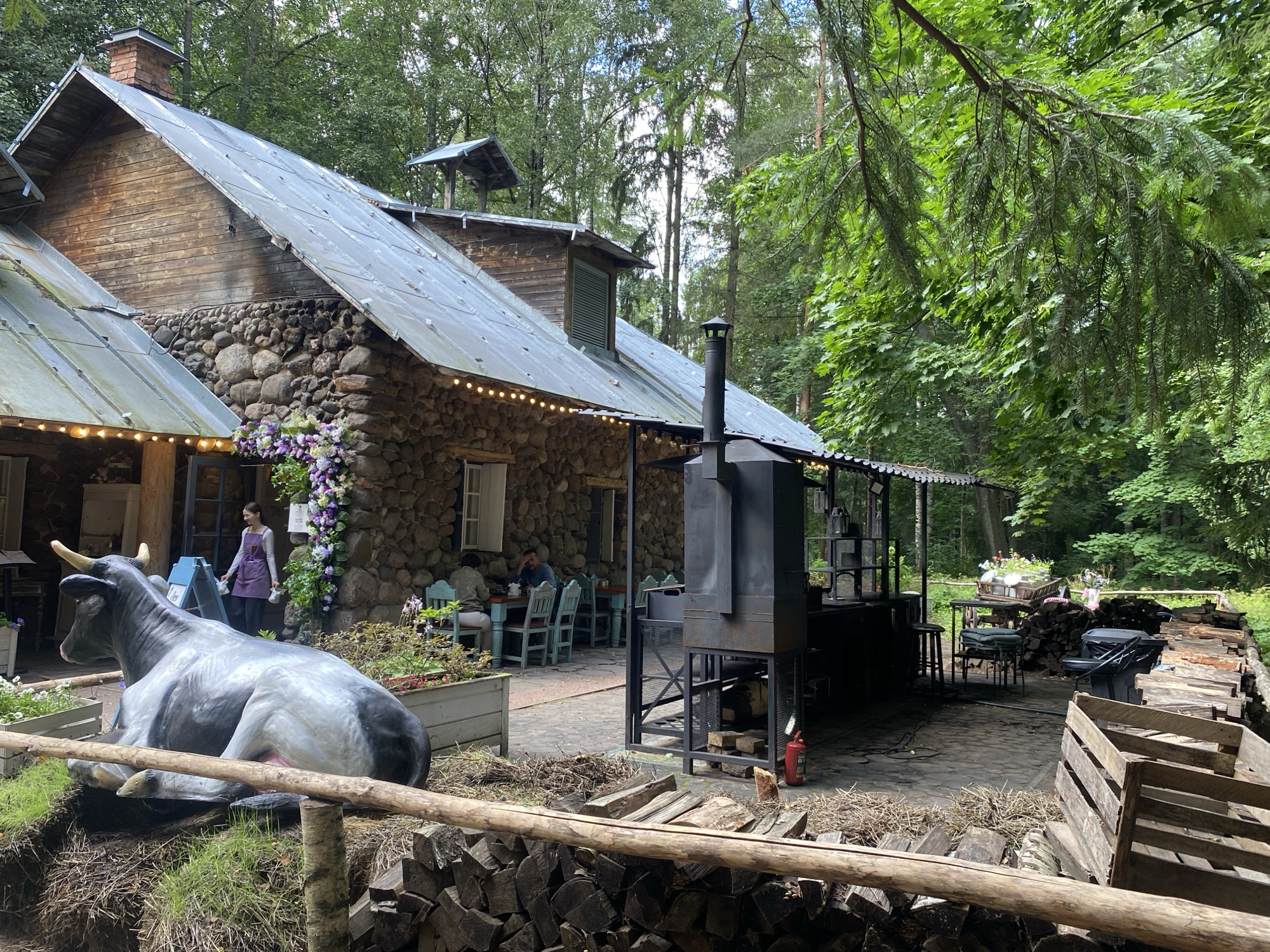 The image depicts an outdoor seating area of a rustic establishment, likely a cafe or restaurant, situated in a wooded environment in Pavlovsk, Russia. The main building, constructed from stone and wood, has a metal roof adorned with a string of lights. In the foreground, a large, grey and black sculpture of a cow is lying on a grassy mound. Behind the cow, a woman wearing a purple apron stands near an entrance to the building.
The outdoor seating area features several tables with light blue chairs, some occupied by patrons. A prominent black metal grill or smoker stands in the center of the area. Piles of chopped firewood are stacked neatly to the right of the seating area, and a wooden crate is visible near the firewood. The environment is lush with greenery, indicating a natural, possibly park-like setting within Pavlovsk. The overall atmosphere is casual and relaxed, suggesting a place where visitors can enjoy food and drinks amidst nature.
