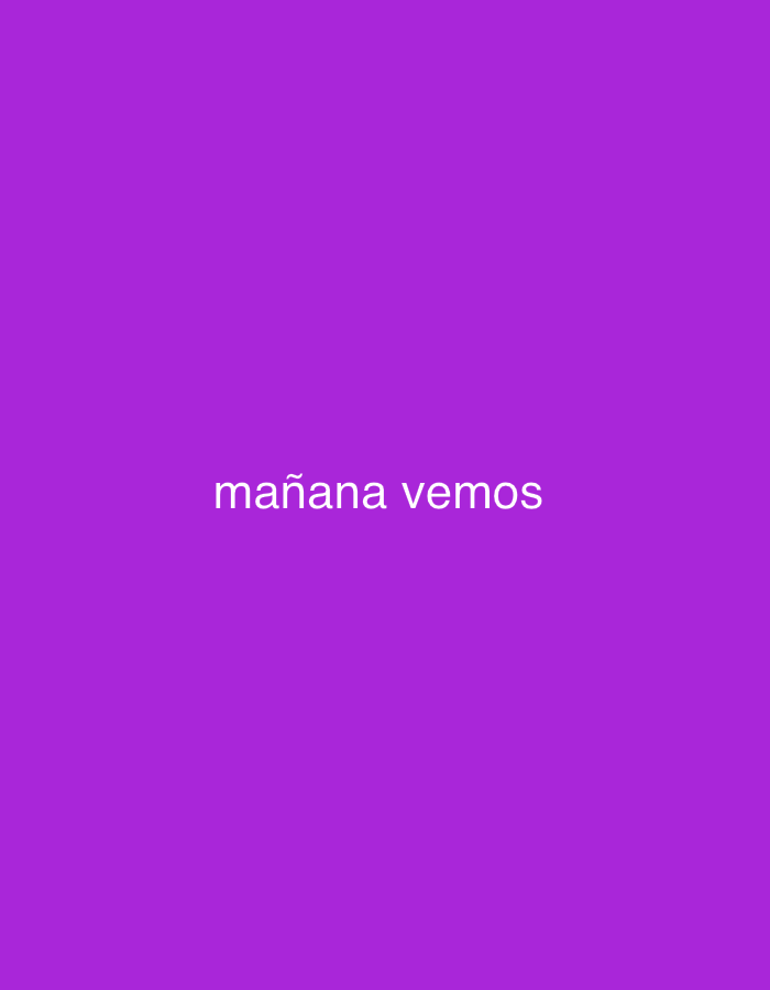 The image displays a plain, solid purple background with text centered on it. There are no discernible people, objects, or specific scenes. The activity depicted is purely textual communication. The notable detail is the uniform, vibrant purple color of the background. The visible text reads "mañana vemos" in white or very light grey, sans-serif, lowercase letters. This Spanish phrase translates to "tomorrow we'll see" or "we'll see tomorrow," implying a deferral of a decision or action. There are no visual cues regarding time of day, weather, or specific location within the image itself. While the context of Santa Ana, Venezuela, is provided, the image offers no visual information to link it to this location. The overall presentation is minimalistic, focusing on the simple message against a monochromatic backdrop.