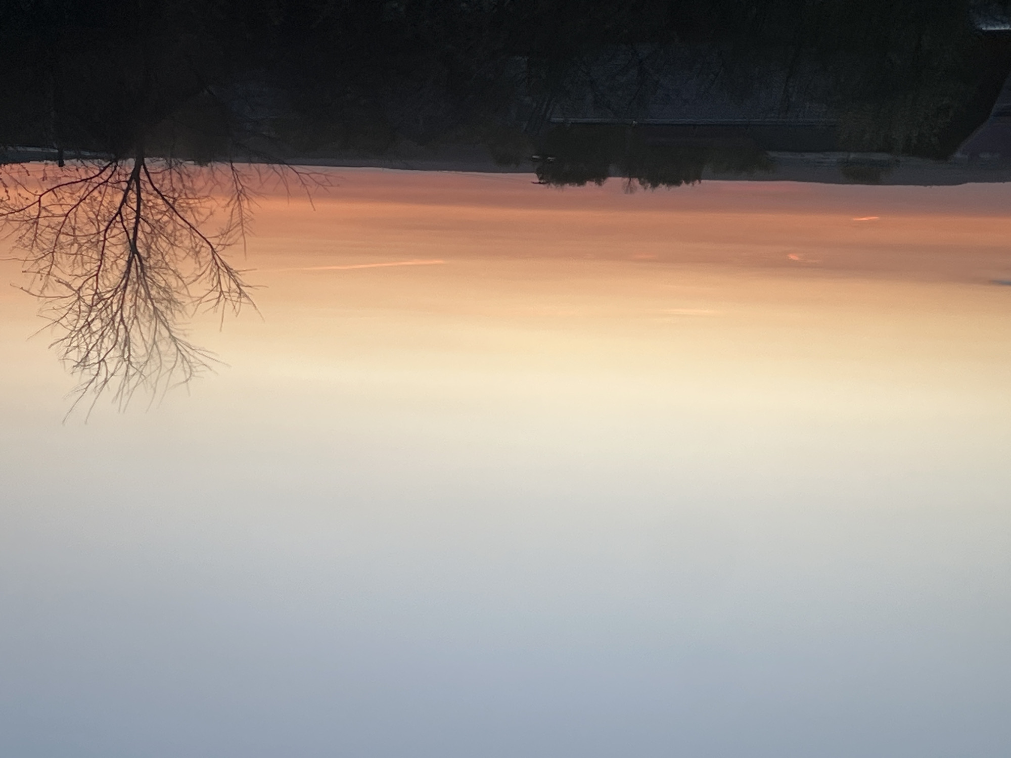 The image shows a sunset or sunrise over a body of water, likely a pond or river. A bare tree branch is visible in the upper left. The horizon line is in the top portion of the image with a dark shoreline with what appears to be other trees or buildings along it. The sky transitions from a pale blue or gray at the bottom to orange, peach, and pink tones near the horizon. Based on the reference to Votkinsk, Russia, the water could be the Votkinsk Reservoir or a local pond reflecting the colors of the sky.