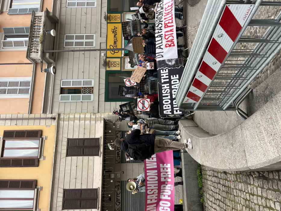 This image depicts an outdoor protest occurring on a cobblestone street in Milan, Italy, specifically targeting the fur trade and potentially Milan Fashion Week. The scene is set against a backdrop of multi-story European buildings featuring various window shutters (brown and light grey) and a prominent balcony on an upper floor.
In the foreground, a gray metal crowd control barrier with red and white diagonal stripes runs horizontally, positioned on a cobblestone surface. Behind this barrier, a semi-circular light gray stone curb or wall defines a raised area. A male individual, wearing a dark jacket, light-colored pants, and white sneakers, stands facing away from the camera on this stone barrier, holding a dark backpack. To his left, another individual holds a pink banner that reads "ON FASHION WEAR GO FUR-FREE" with partially visible text. This person also holds a megaphone.
Further behind and to the right of the central standing individual, a group of approximately 15-20 protestors is visible. They hold various signs and banners. A black banner in the mid-ground prominently displays "ABOLISH THE FUR TRADE" in white capital letters. To its right, a white banner with a black border contains Italian text, including "DI ALLA FASHION WEEK" (Tell Fashion Week) and "BASTA PELLICCE!" (No more fur!). Several protestors hold signs, some circular with a red "no" symbol over the word "PELLICCE" (Fur), while others feature images, possibly depicting animals or messages against fur. One protestor holds a megaphone aloft.
The background shows the facades of several buildings. The structure to the left is yellow on its upper floor with brown shutters, transitioning to a lighter, possibly beige, color below, featuring "CAFFE" signage and string lights above a closed storefront. The central and right buildings are predominantly light grey/beige with light grey shutters, some open, some closed. One building features a decorative balcony. A street lamp extends from the central building's facade. The overall environment is urban, characterized by historic architecture and a public demonstration.