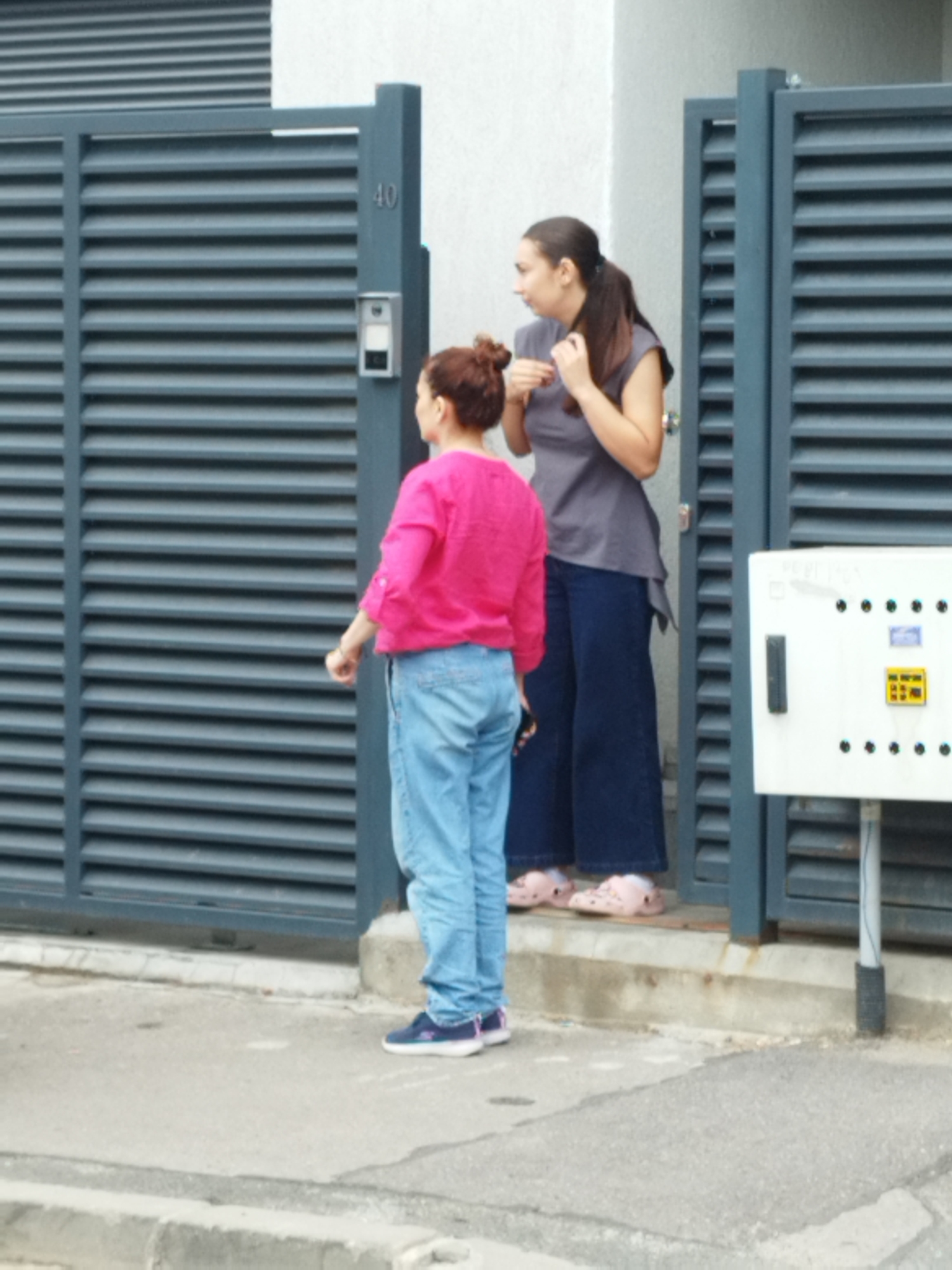 Two women are standing on a concrete step in front of a gray metal slatted gate. The woman on the left, closer to the viewer, has her back to the camera and is wearing a bright pink long-sleeved shirt and light blue jeans. She has her hair pulled back in a bun. The woman on the right is facing left and is wearing a dark gray sleeveless top and dark blue wide-leg pants. She has her hair pulled back in a ponytail. A white electrical box with a metal pole is visible to the right of the women, next to the gate. The setting appears to be an outdoor urban environment, possibly a residential or commercial property in Bucharest, Romania, indicated by the presence of a gate and an electrical box.