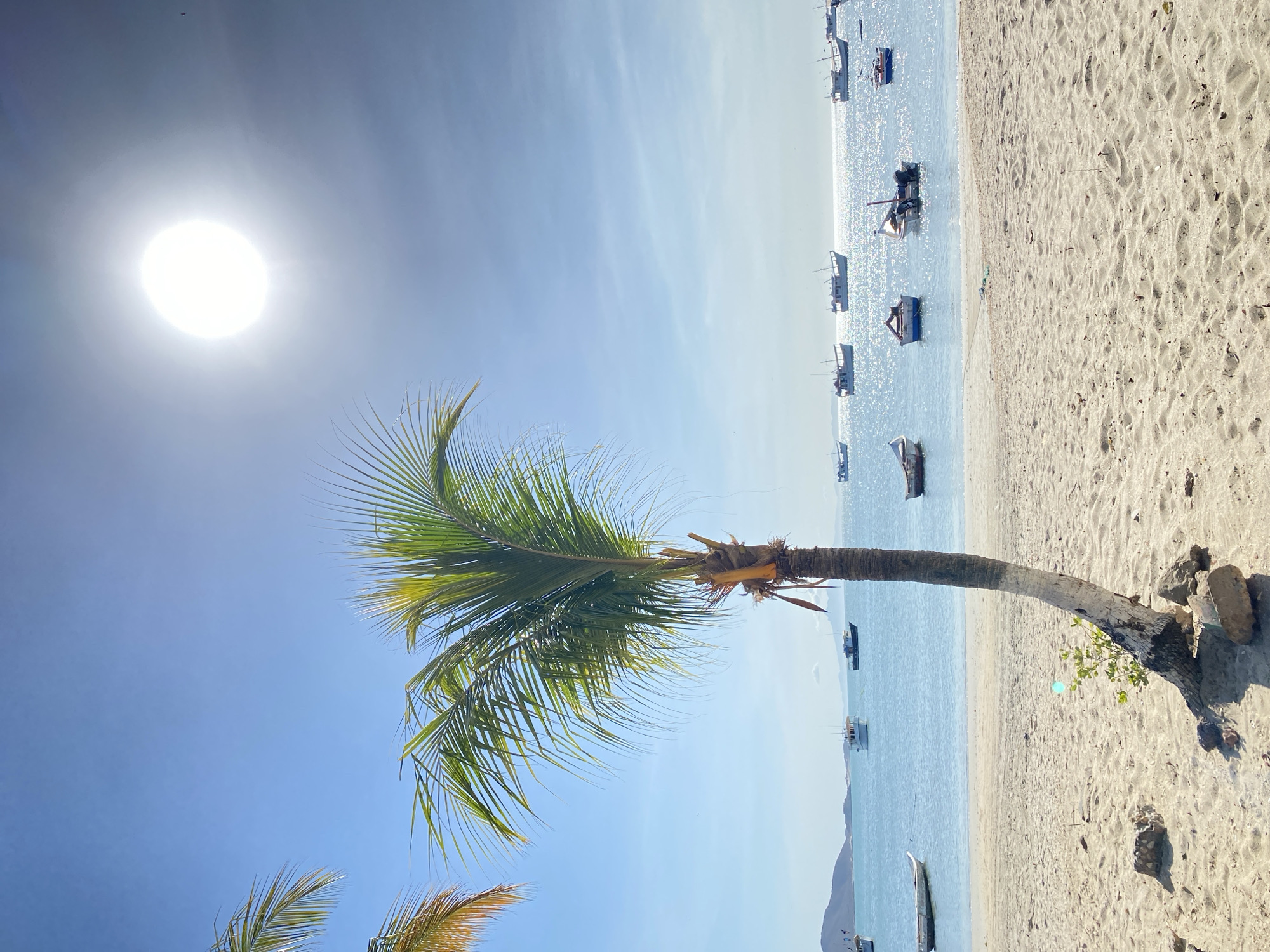 This image depicts a coastal scene in Juan Griego, Venezuela. In the foreground, a palm tree arches towards the sea, with its leaves filling the upper left quadrant of the frame. The base of the tree rests on the sandy beach, marked by scattered debris. The sea stretches out in the middle ground, dotted with numerous boats. The sun shines brightly, creating a stark contrast in the sky. The photo is oriented vertically.