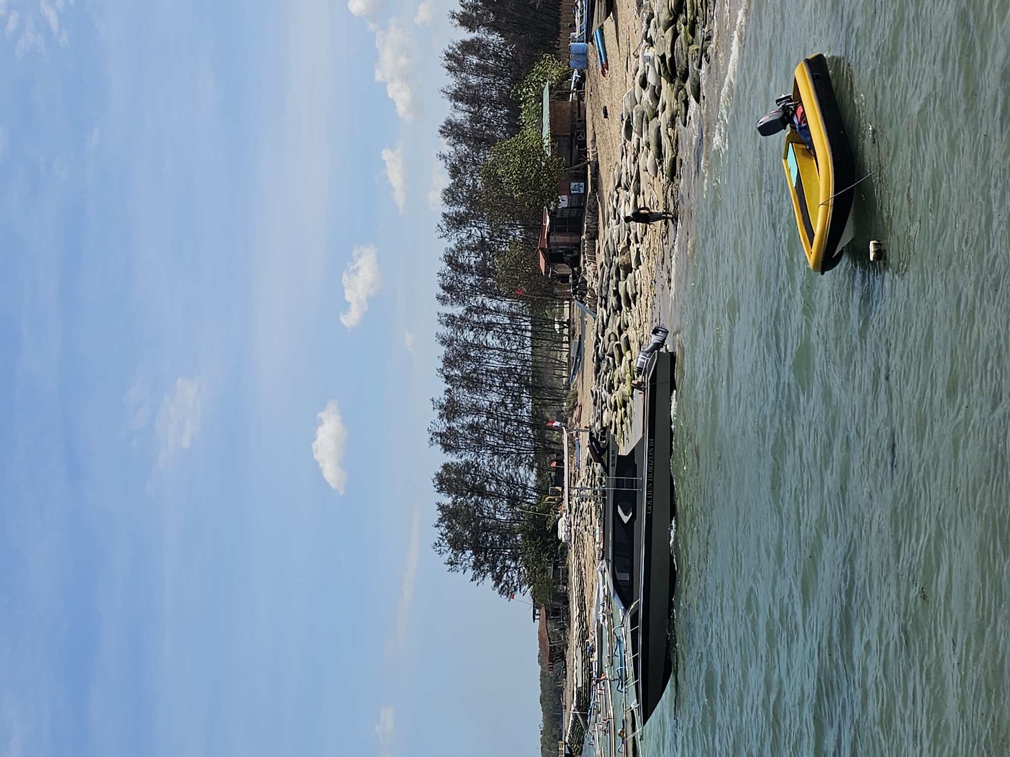 The image depicts a coastal scene on a bright, sunny day, likely in Denpasar, Indonesia, given the characteristic style of the boats and vegetation. The foreground is dominated by the calm, blue-green ocean water, with small waves lapping at the shore. A small, yellow and black inflatable boat with an outboard motor is tethered and floating in the water.
In the middle ground, a larger, dark-colored motorboat with the inscription "GOLDEN HORIZON 04" is partially visible, appearing to be either docked or moving slowly near the shore. The shoreline itself is a mixture of sandy beach and numerous large, greyish-green rocks. A single person, wearing dark clothing, stands on the rocky beach, facing away from the camera.
Behind the beach, a dense line of tall, slender trees with dark foliage forms a backdrop. Scattered amongst the trees are several small, rustic structures, appearing to be huts or shacks with red and green roofs, suggesting a small settlement or recreational area. In the distance, more coastline and vegetation can be seen, stretching towards the horizon. The sky is a clear blue with scattered white, fluffy clouds. The overall impression is one of a relaxed, tropical coastal environment.