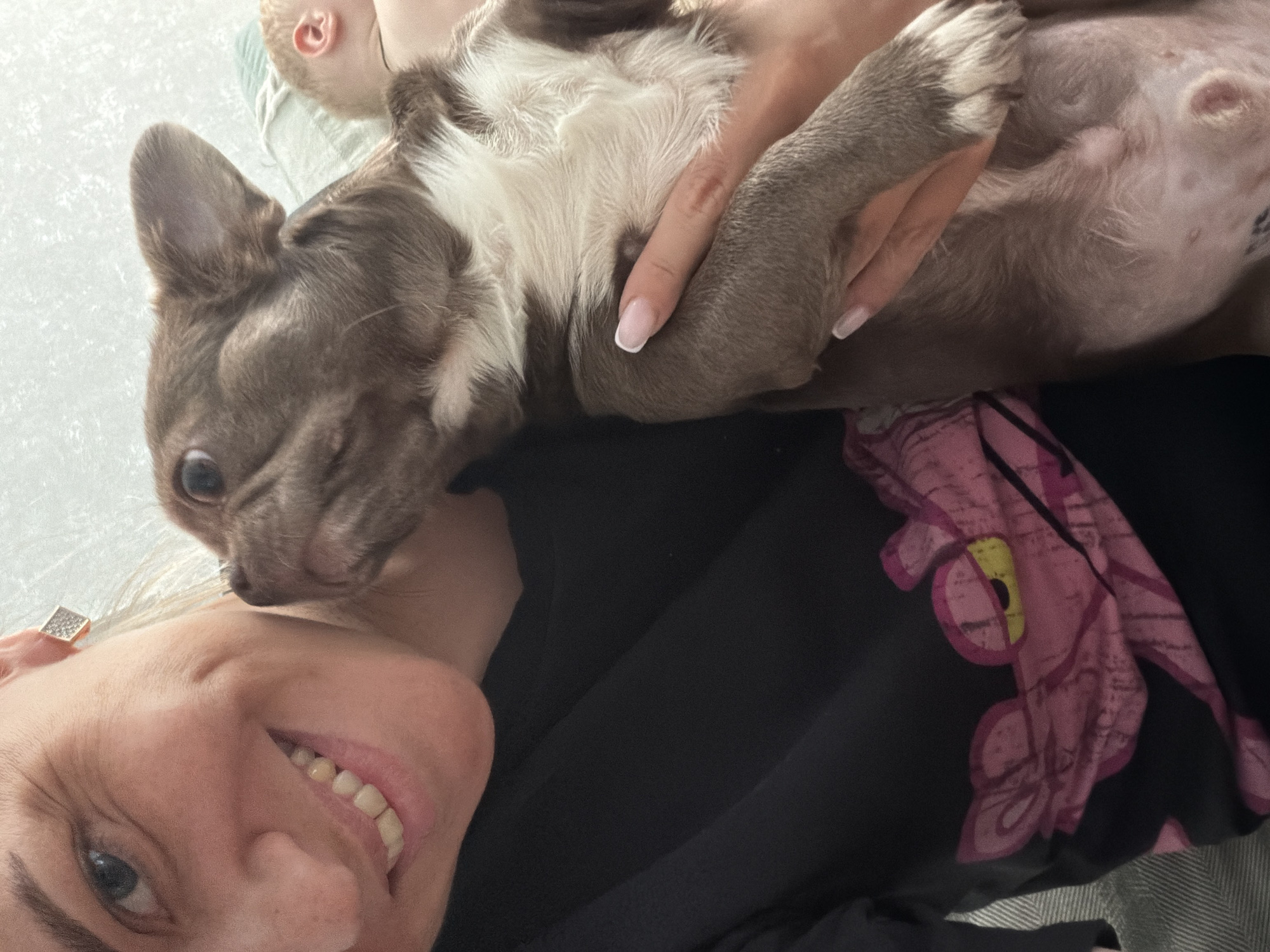 A woman is holding a French bulldog puppy on its back, with the puppy's body in the woman's hands. The puppy is mostly gray and white. The woman is smiling. She has blonde hair. She is wearing a black shirt with a pink panther design. The image is taken from a close-up, slightly overhead angle. There is no information to determine if the image was taken in Votkinsk, Russia.