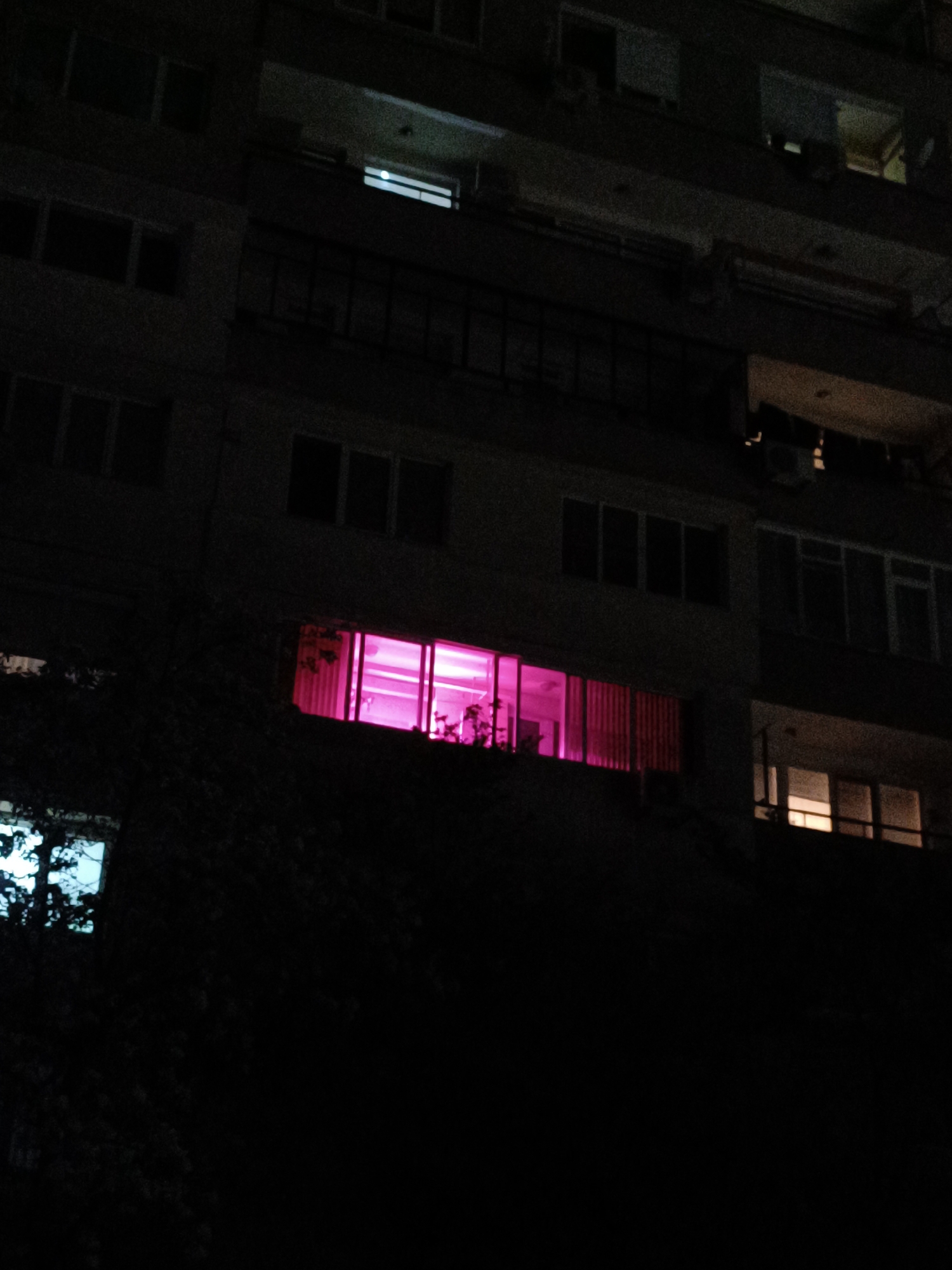 The image depicts the exterior of a multi-story building at night. The building has multiple rows of windows, some dark, and others illuminated. One specific window is brightly lit with a pink or magenta light, revealing a person inside. Trees are present in the foreground. The city is Pleven, Bulgaria.