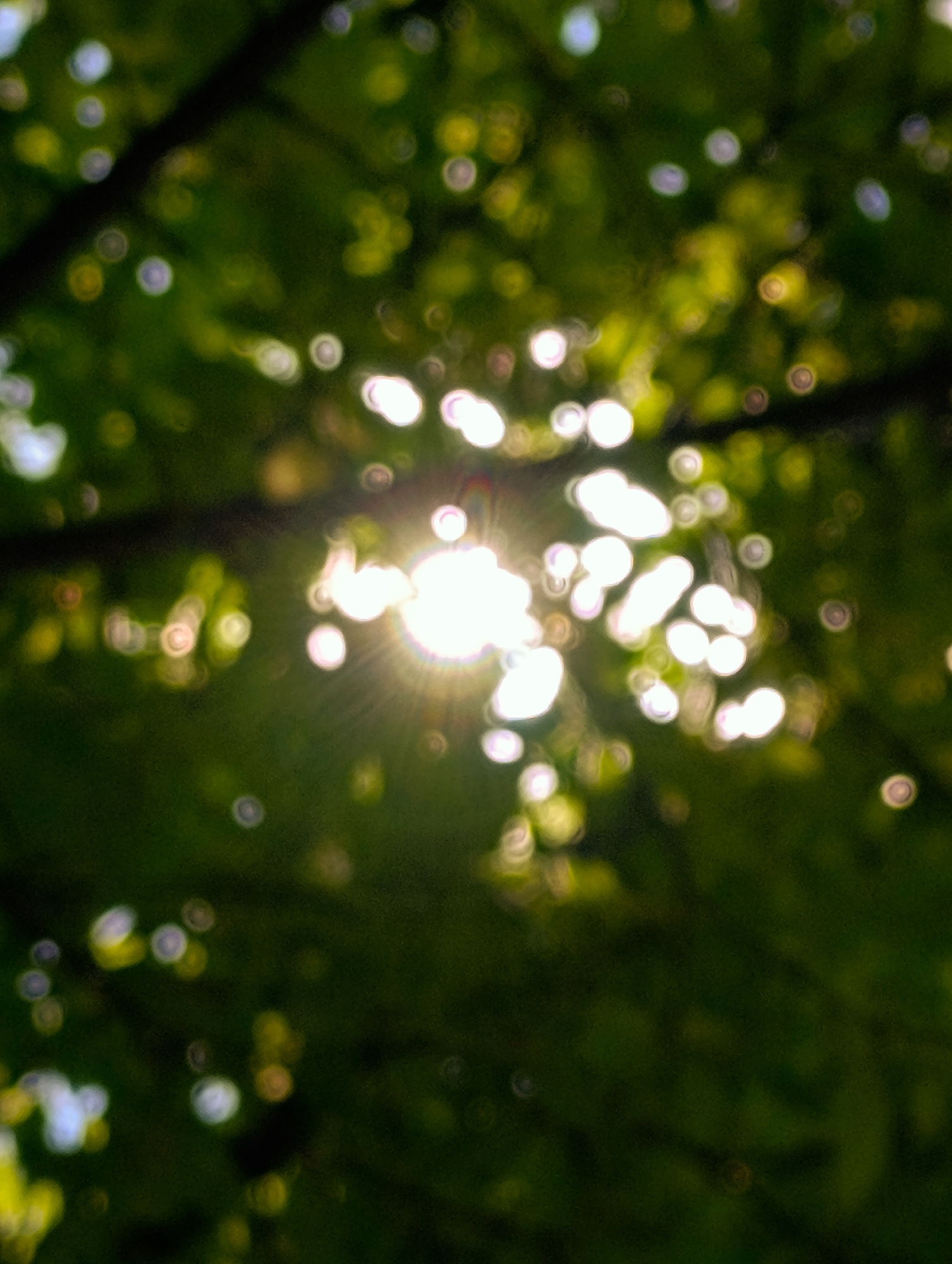 The image is a blurred, low-angle shot of sunlight filtering through the leaves of trees. The bright sun is visible in the center, with lens flare creating a starburst effect and numerous circular bokeh highlights scattered throughout the frame. The background is a deep, dark green, indicating a dense canopy. The image appears to be taken outdoors, possibly in a park or forest setting. No people, specific objects, or actions are discernible due to the blur and focus on light effects. There is no information available to pinpoint the location to Minsk, Belarus, or any specific urban area.