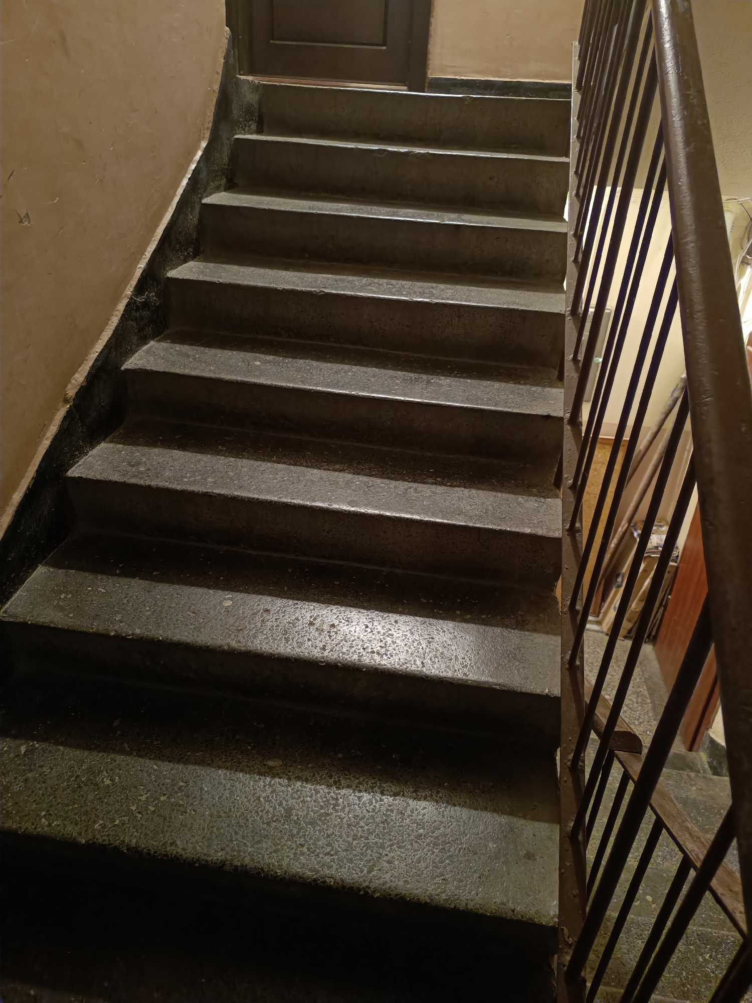 The image shows a staircase inside a building. The stairs are made of grey stone and lead upwards. A metal railing runs along the right side of the stairs. The wall to the left of the stairs is painted in a light peach color and shows signs of wear and tear. At the top of the stairs is a closed wooden door. The image was taken in the city of Pleven, Bulgaria.