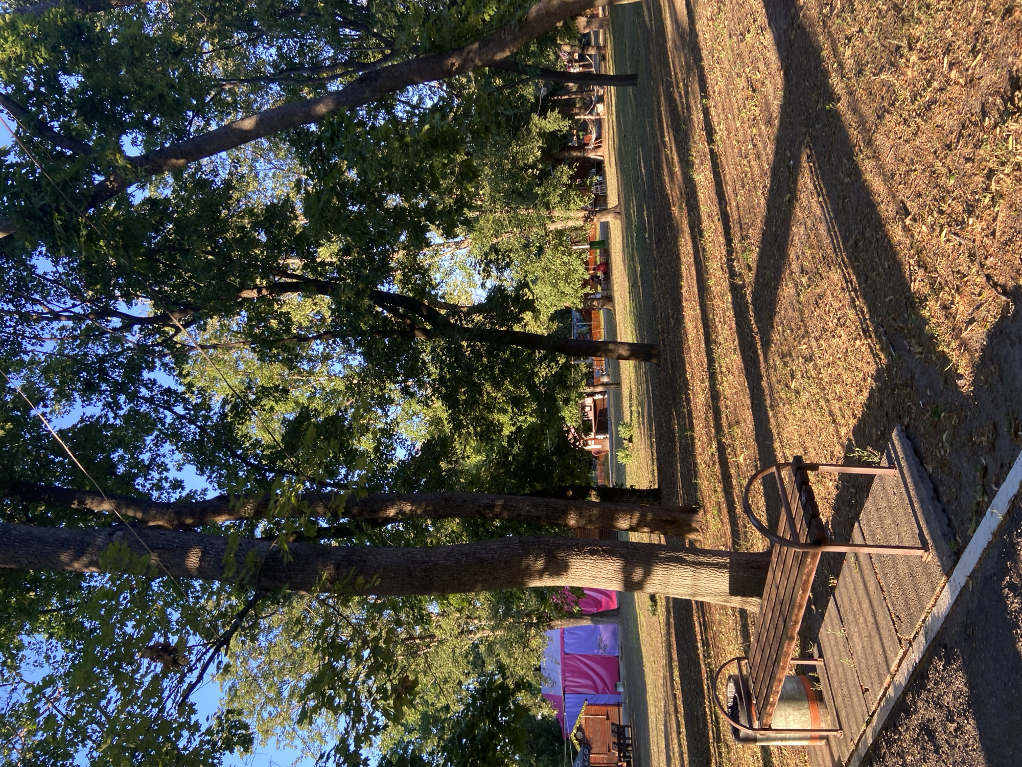 This image depicts an outdoor scene in Nyzhni Mlyny, Ukraine. The primary subjects are trees with dense green foliage and a wooden park bench with a metal frame. The setting appears to be a park or recreational area, with a grassy field and a paved pathway. Sunlight casts long shadows across the ground, suggesting it is either early morning or late afternoon. The sky is a clear blue. In the background, there are glimpses of structures, possibly tents or booths, with colorful fabric elements, hinting at a possible event or gathering. The overall atmosphere seems peaceful and natural. No people are clearly visible, and no text is legible within the image.