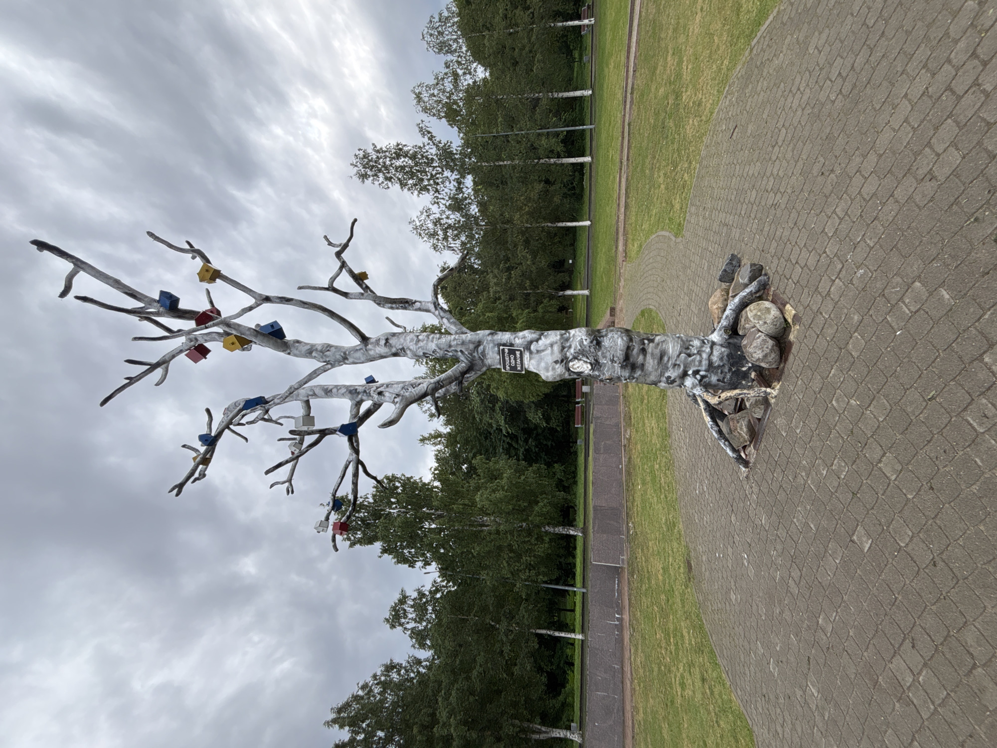 A sculpture of a stylized, barren tree stands on a paved circular area in a park. The tree is painted white with gray accents, resembling birch bark. Attached to its branches are several small, colorful birdhouses or decorative boxes in red, yellow, and blue. The tree has exposed, gnarled roots at its base, surrounded by rocks. A paved pathway curves around the tree and leads into a grassy area. In the background, a line of birch and evergreen trees forms a dense forest. Beyond the trees, a light gray, overcast sky dominates the scene. A sign is affixed to the trunk of the tree, though its text is partially obscured. The park appears to be the Onega Embankment in Petrozavodsk, Russia, known for its art installations.