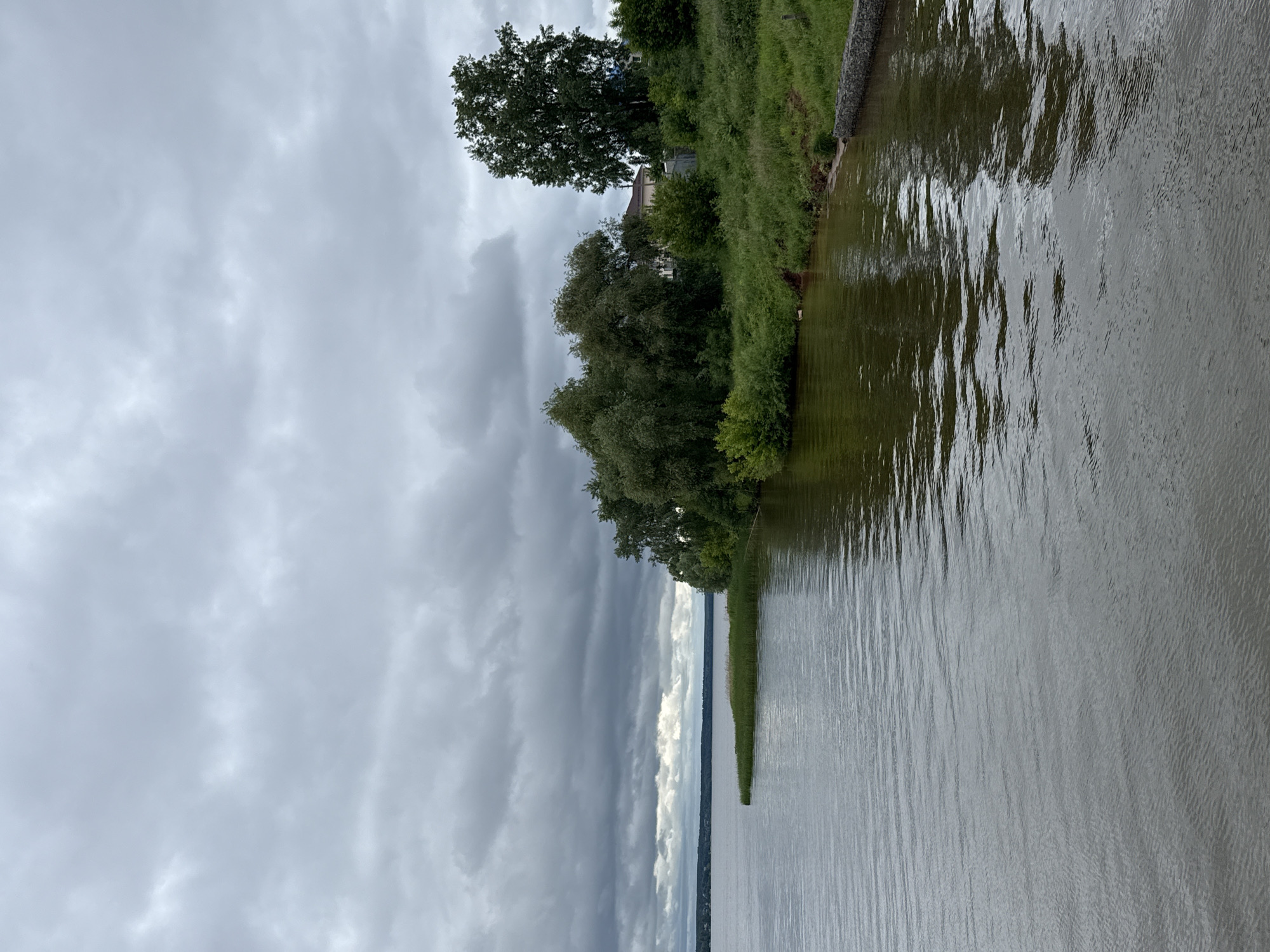 This image captures a wide, dark body of water, likely the Votkinsk Reservoir in Votkinsk, Russia, under an overcast sky filled with heavy grey clouds. The water surface exhibits numerous ripples, reflecting the dull sky and the dark green hues of the nearby vegetation.
On the left side, a distant, forested landmass with faint indications of human settlement stretches along the horizon. Closer in the mid-ground, a small, low-lying spit of land covered in tall, green reeds extends into the water from the left bank.
The right side of the image features a lush, steep green bank heavily populated with various deciduous trees and dense bushes. A tall, full-canopied tree stands prominently on the far right. Behind the trees and vegetation, parts of a light-colored building with a dark roof are partially visible, indicating human infrastructure. Near the water's edge on the lower right, a gabion wall, constructed from wire mesh filled with rocks, stabilizes the bank. A single dark-feathered duck is visible swimming near the right bank, beneath the overhanging trees. No other people or animals are present.