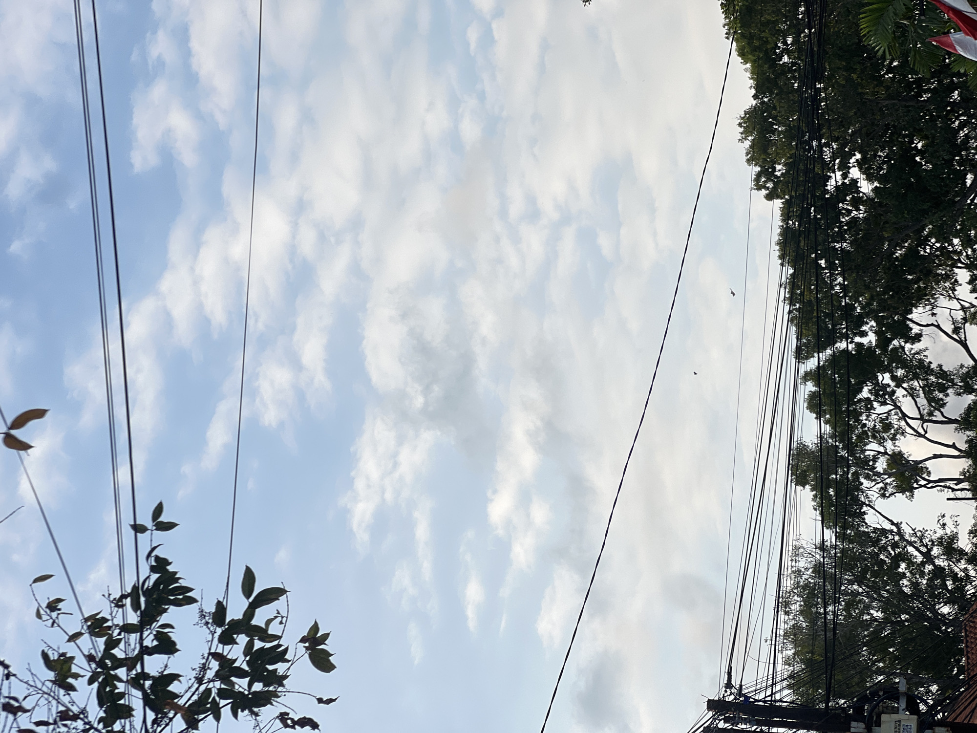 The image is an eye-level shot of a cloudy sky with overhead power lines and some foliage. In the foreground, branches with dark green leaves are visible on the left side, extending from the top left corner. Several black power lines crisscross the frame horizontally. Below the power lines, the tops of lush green trees are seen, suggesting an urban or suburban setting. In the far lower right corner, a small portion of a red and white flag is visible, possibly indicating a location in Indonesia. The sky is a pale blue with scattered white and gray clouds. Two small dark shapes, possibly birds or kites, are visible in the sky between the power lines. The overall impression is of an outdoor scene in a city like Denpasar, Indonesia, on a day with moderate cloud cover.