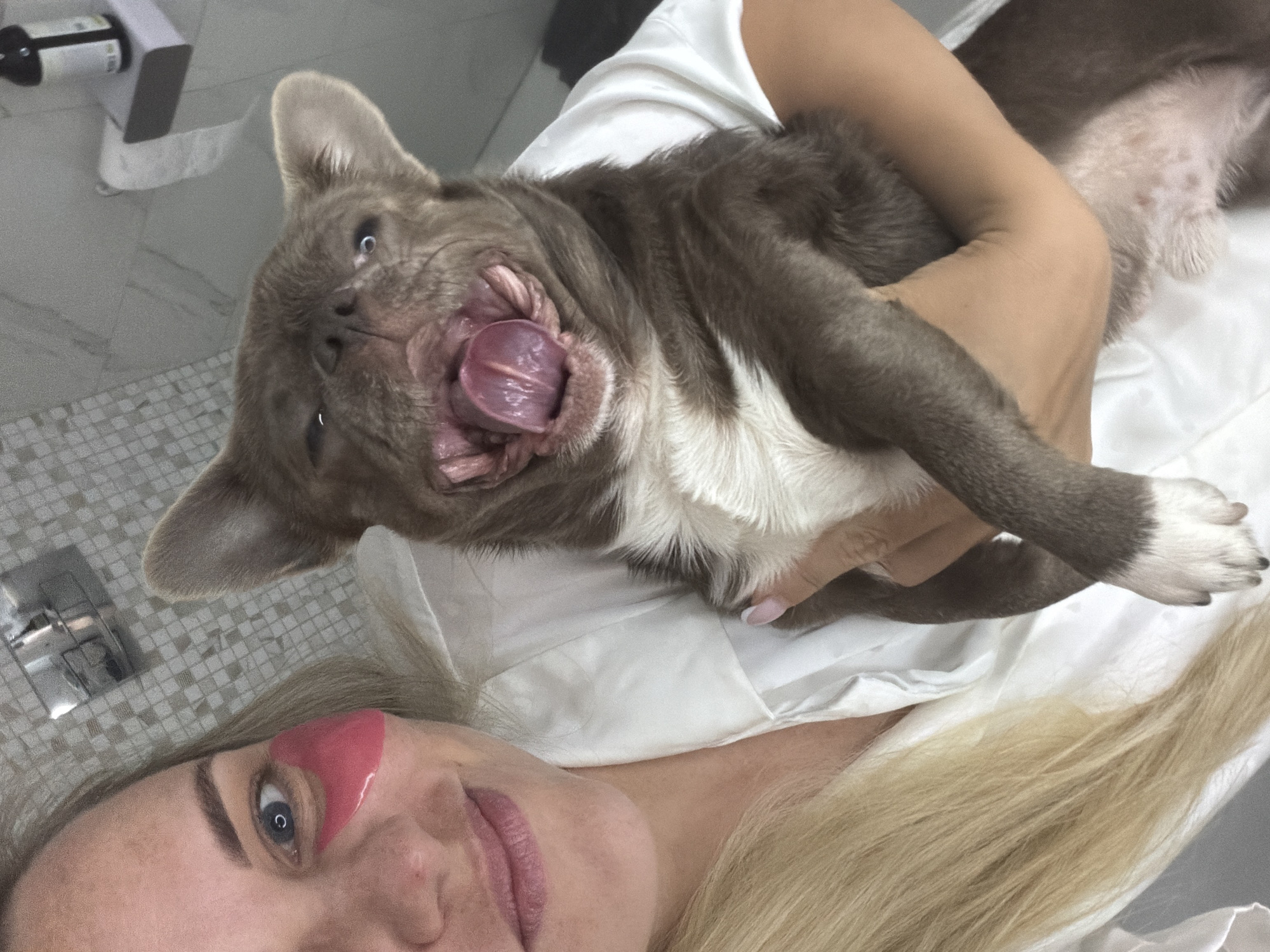A blonde woman and a gray and white French Bulldog are captured in a close-up, angled shot. The woman lies on her back on a white surface, possibly a bed or treatment table, wearing a white top. She has a pink under-eye patch on her right eye and a slight smile on her face, with light makeup visible. Her arm is wrapped around the dog, holding it close.
The French Bulldog is also lying on its back, held by the woman. Its mouth is wide open, revealing its tongue curled upwards in a playful or perhaps mid-yawn expression. Its eyes are visible, looking upwards with a slightly comical or animated gaze. The dog's fur is primarily gray-brown with distinctive white patches on its chest and paws.
The background features a light-colored tiled floor or wall and a white wall-mounted dispenser, suggesting an indoor setting like a bathroom, spa, or personal space in Votkinsk, Russia. The overall lighting is soft, indicating an indoor environment. The scene portrays a relaxed and affectionate moment between the woman and her pet, with the dog's expressive face adding a humorous element. No discernible text is visible in the image.
