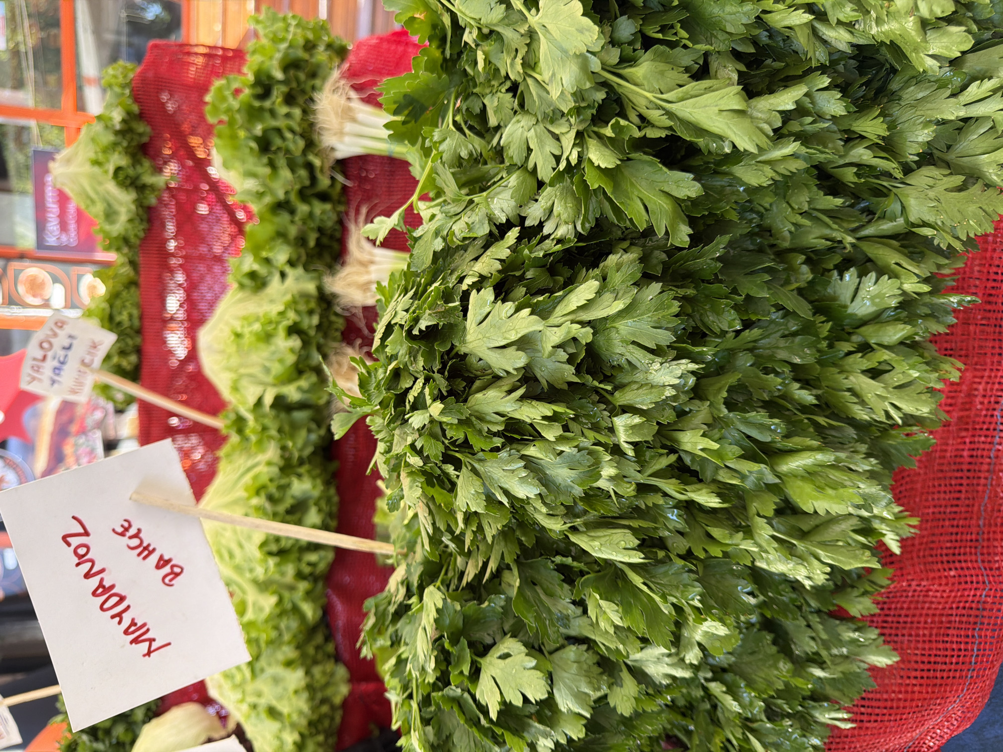 This image is a close-up shot of fresh parsley at a market stall, likely in Üsküdar, Turkey. The foreground is dominated by a large bunch of vibrant green parsley, its leaves glistening with what appears to be water droplets. The parsley is resting on a textured red mesh bag. Behind the parsley, several heads of lettuce are visible, also appearing fresh and green. A white sign with red handwritten text is stuck into the lettuce, reading "MAYDONOZ BAHÇE" and another partially visible sign with "YALOVA YAĞLI KUZUCUK." The background is slightly blurred, showing more produce and hints of a market environment, possibly with orange-tinted awnings or structures. The lighting suggests it is daytime.