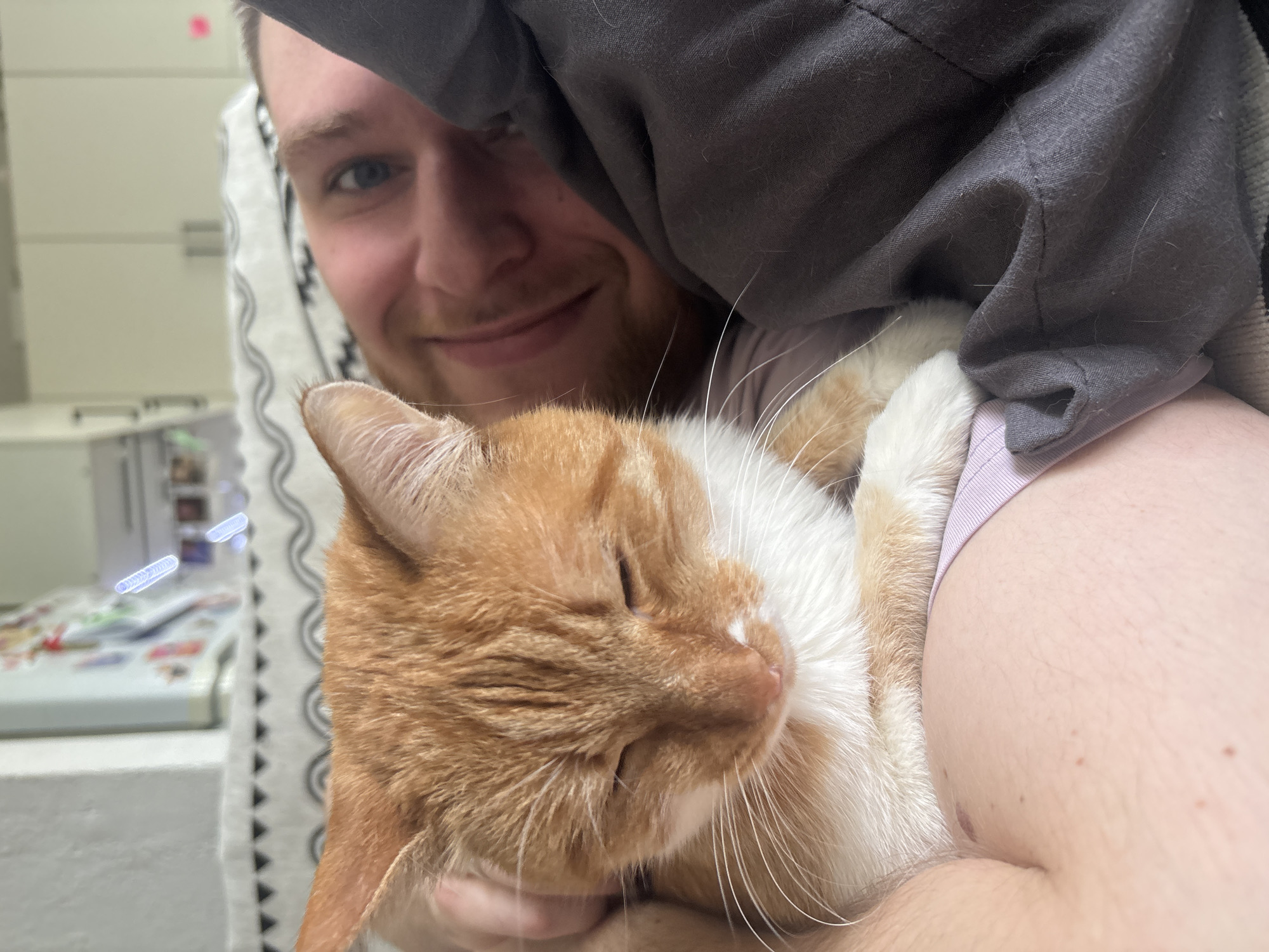 A man is holding an orange and white cat in his arms. The man is smiling and looking at the camera. A gray blanket is partially covering the man's head. The background is blurry but appears to be a room with a white table and other objects. No specific details suggest the location is Zheleznogorsk, Russia.