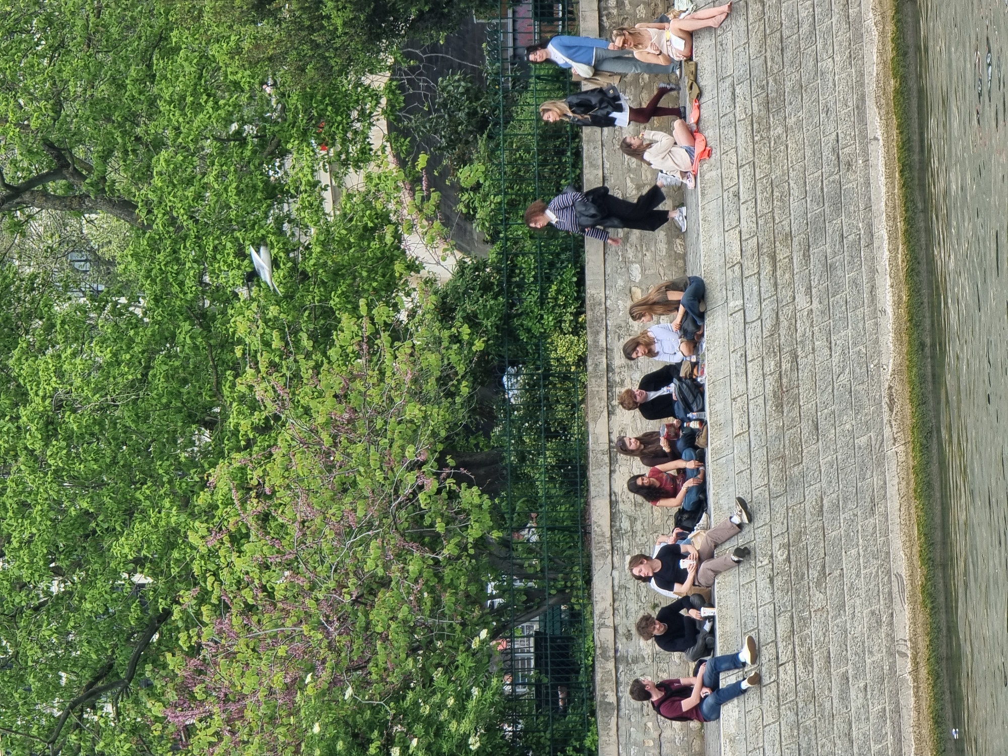 This image depicts a lively daytime scene along a stone embankment beside a body of water, likely the Seine river in Paris, given the provided context.
The primary subjects are a group of people, mostly young adults, gathered casually along the multi-tiered stone embankment on the right side of the frame. Many are seated directly on the stone steps and ledges, some facing towards the tranquil water. Their attire, including t-shirts, light jackets, and casual pants, suggests warm and pleasant weather. In the foreground, one person wears a maroon shirt and blue jeans, while another sports a black t-shirt with white stripes and light brown pants. Further along, more individuals are either sitting or standing, engaged in conversation or simply relaxing. Notable figures include a woman in a black and white striped top walking, and another in a light blue top standing further back.
To the left of the embankment, a dense expanse of lush greenery fills the scene, indicating a park or garden. Vibrant green trees dominate the foliage, with some exhibiting delicate purple blossoms, typical of spring or early summer. A dark metal fence separates this green area from the stone embankment. The water on the far right appears calm and reflects the bright sky.
The activity taking place is a casual social gathering, with individuals enjoying the sunny weather and riverside ambiance. The time of day appears to be daytime, with bright, even lighting and no harsh shadows, indicating clear weather. No visible text is present in the image.