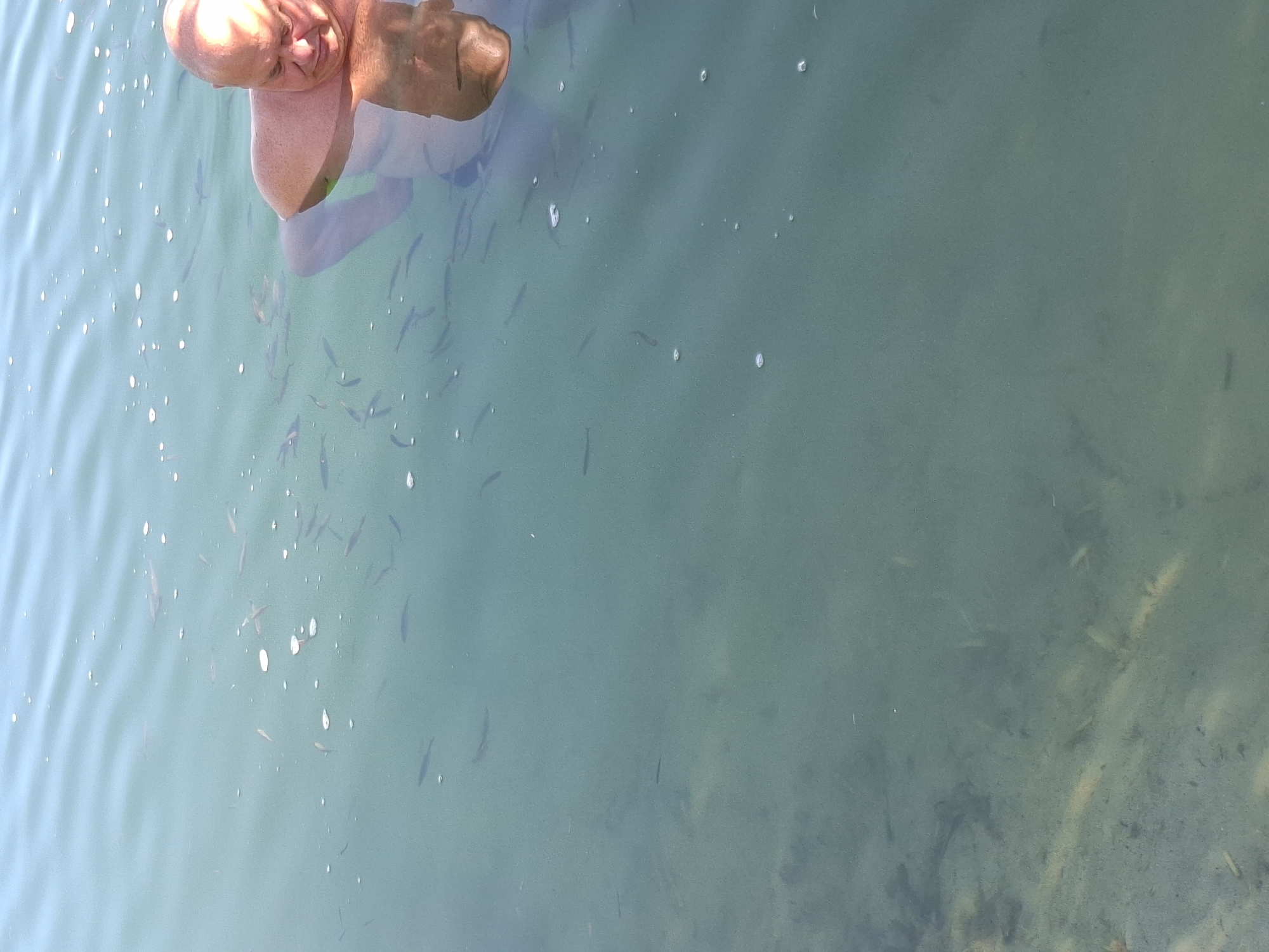 In the city of Stroszowice, Poland, a bald man is submerged in a body of water, with his head and shoulders visible above the surface. He appears to be looking down, with his eyes closed or partially closed. The water is clear and shallow, revealing the sandy bottom and a scattering of small fish swimming around him. The surface of the water is rippled, and there are a few small bubbles visible. The overall impression is one of relaxation and connection with nature.