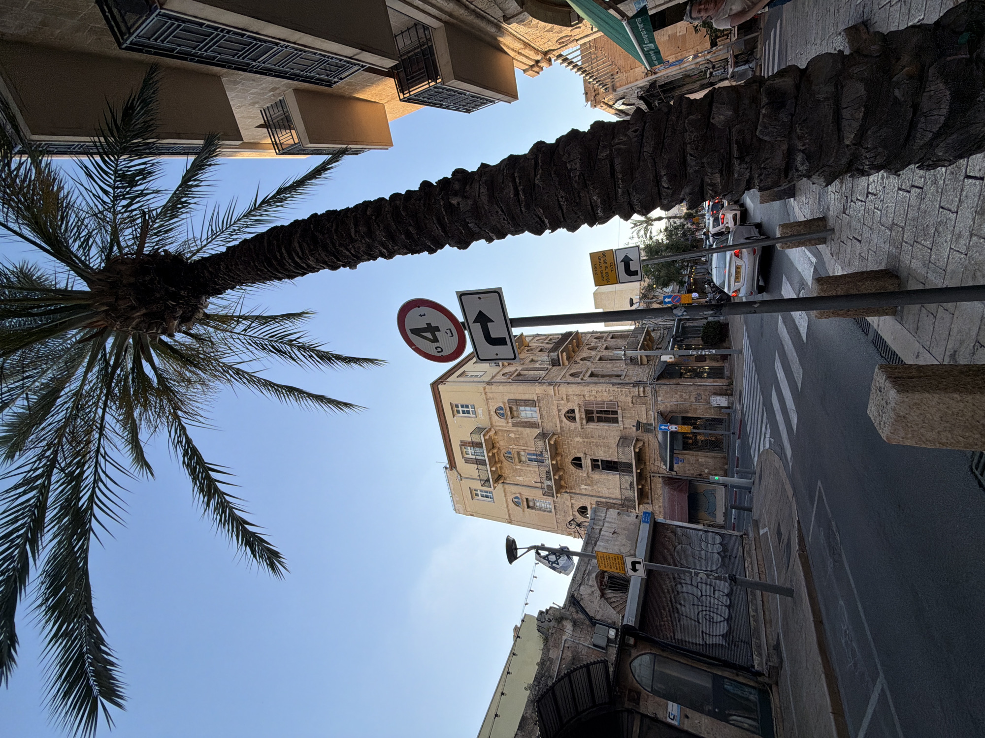 An eye-level shot, oriented vertically, of a street in Tel-Aviv, Israel. The view is upwards towards buildings and a palm tree. On the right side of the frame, a street runs away into the distance, with a crosswalk and vehicles visible. Sidewalks flank the road. A palm tree trunk stretches diagonally across the center of the image, with its fronds spreading towards the left. The sky above is clear and blue. Buildings line the street, varying in height and architectural style, with some having balconies and intricate details. Traffic signs are mounted on posts near the road. The buildings are light-colored and appear to be made of stone or brick.