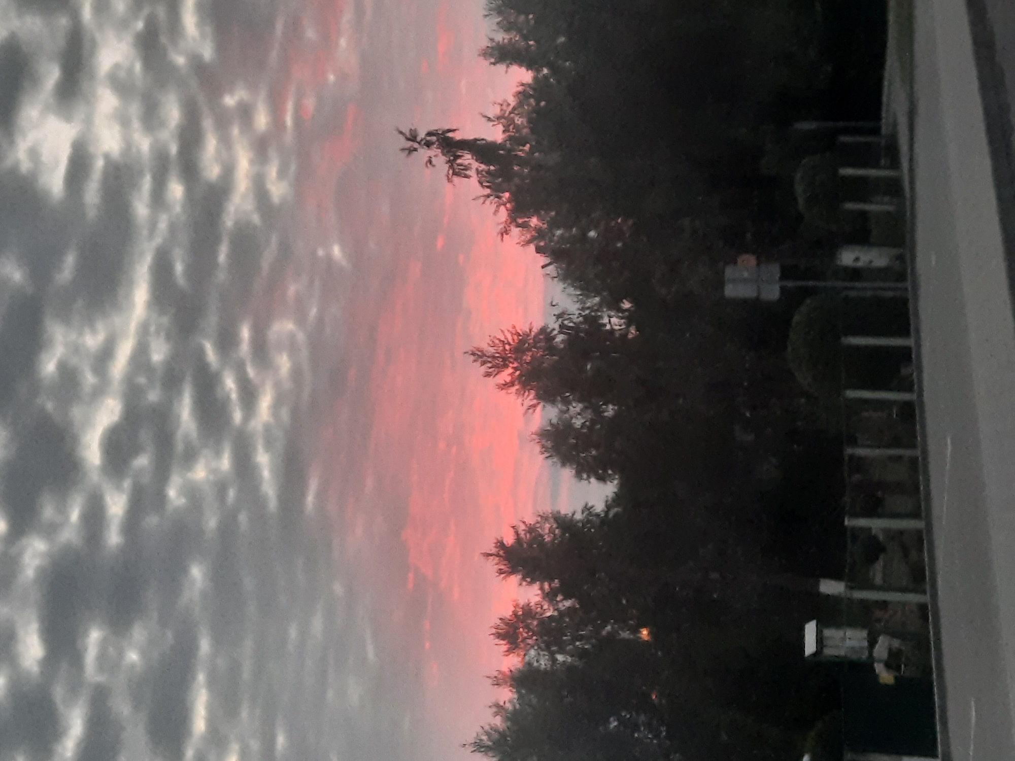 The image depicts a twilight sky with scattered gray clouds tinged with pink hues, suggesting a sunset or sunrise. A silhouetted line of trees forms the foreground against the colorful sky. Below the trees, a dimly lit area shows hints of fences and some vegetation. A paved road is visible in the bottom section of the image. The overall scene is serene and natural, with no visible people or explicit actions. The location is identified as Парэчча, Belarus.