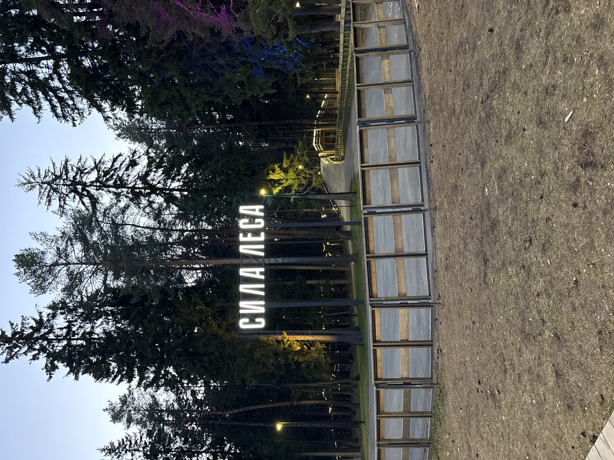 The image depicts an outdoor scene at the "Sila Lesa" (Power of the Forest) park in Votkinsk, Russia. A large, illuminated sign reading "СИЛА ЛЕСА" stands prominently amidst tall evergreen trees. A boardwalk with railings extends into the background, illuminated by string lights. To the right of the sign is a series of grey rectangular structures, likely part of an exhibit or walkway. The ground is covered with dry grass and dirt. The sky is light, suggesting early evening or dawn.