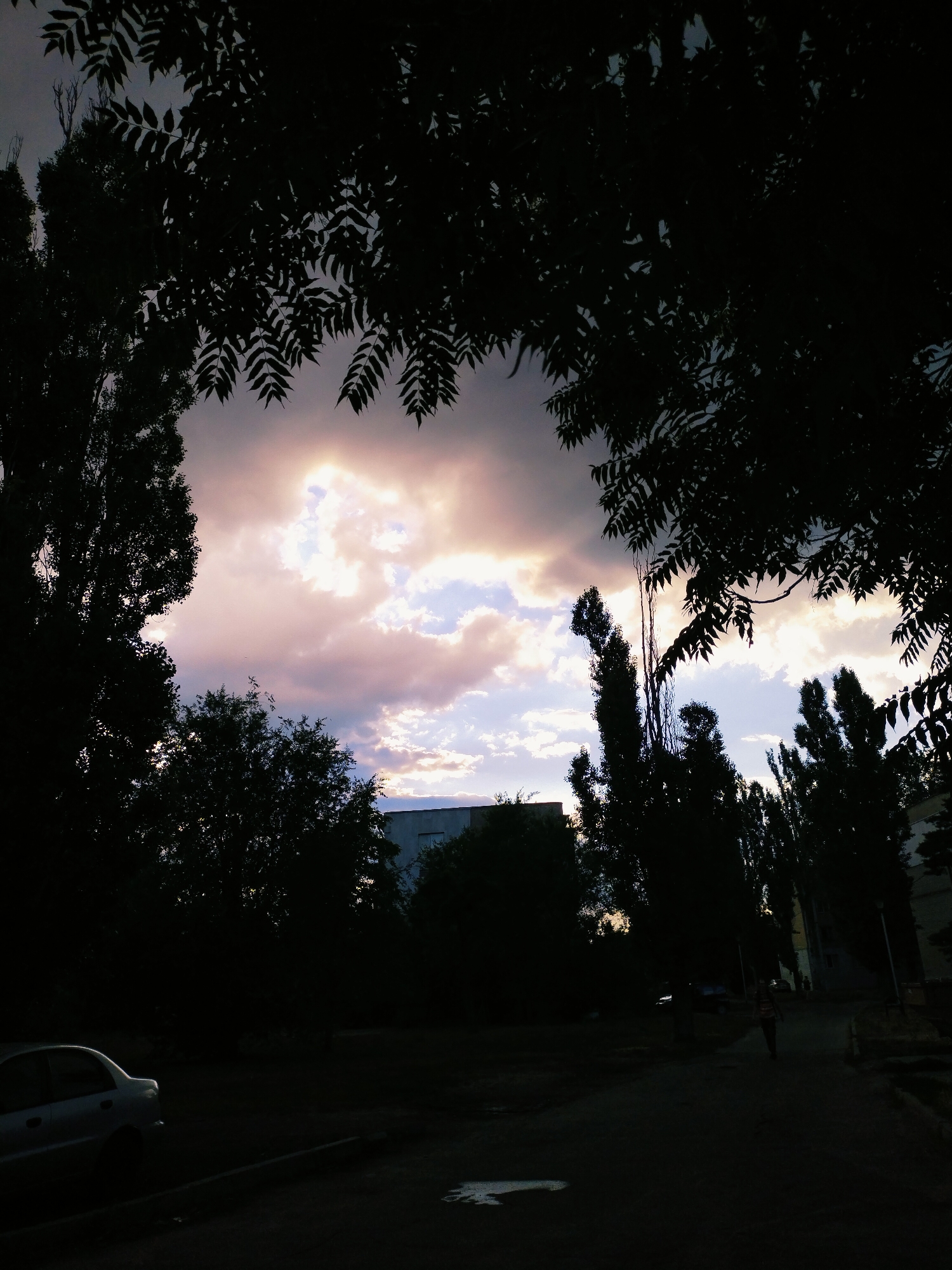 This is a low-angle, full shot of a street scene in Horishni Plavni, Ukraine, during what appears to be either dusk or dawn. The foreground and much of the mid-ground are dominated by the dark silhouettes of trees and foliage framing the composition. In the distance, a modern, grey, multi-story building is visible, partially obscured by trees. To the left, a light-colored sedan is parked. The sky is dramatic, filled with a mix of dark gray clouds and brighter, illuminated patches, suggesting the sun is either rising or setting behind them. A lone figure is walking away from the camera on the right side of the frame, on a paved walkway that leads past a line of tall, slender trees. The overall atmosphere is somber and somewhat muted due to the lighting conditions.