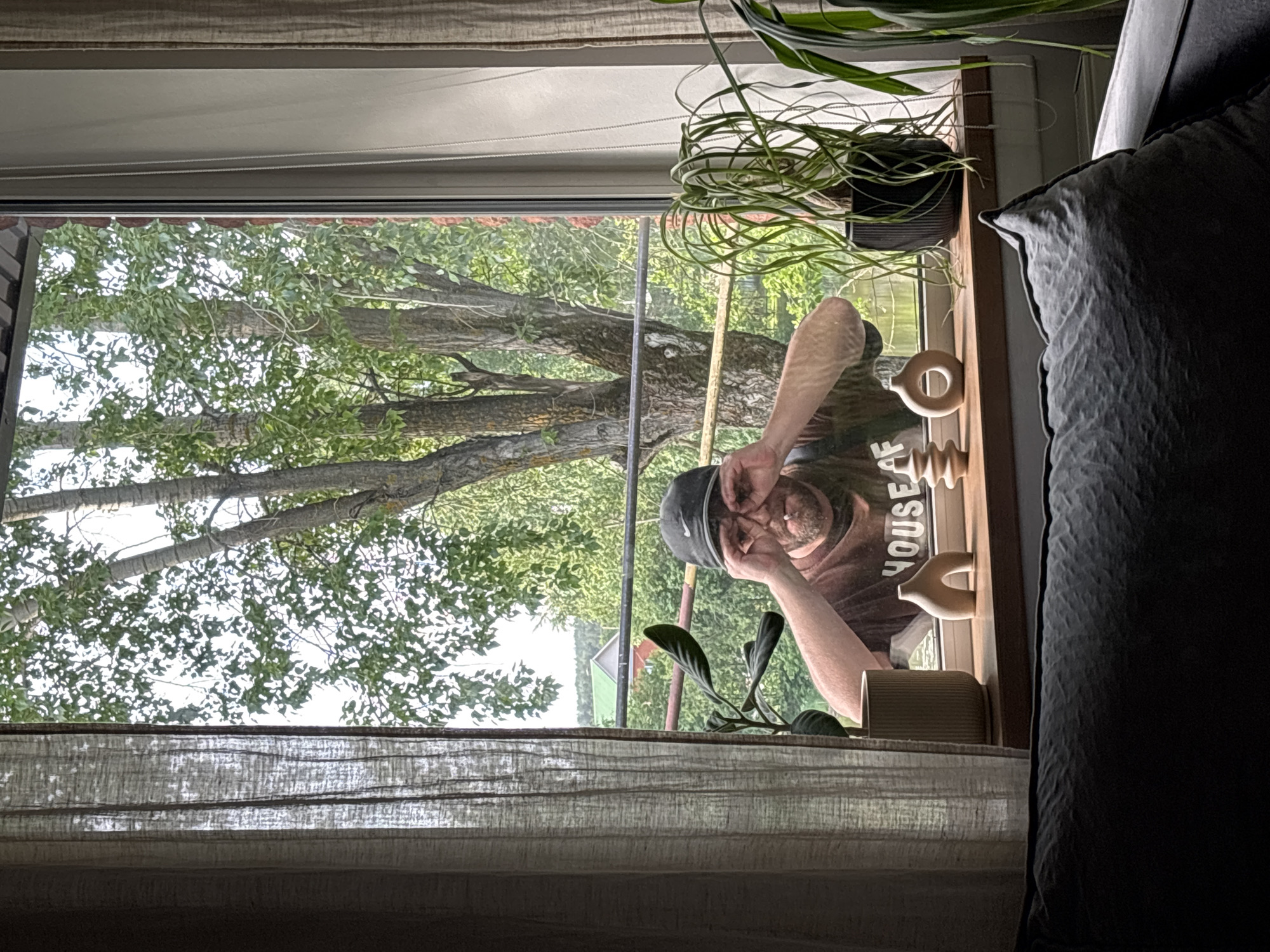 A view through a window with sheer curtains shows a person's reflection. The person, wearing a dark cap and a t-shirt, appears to be looking into the window, with their face close to the glass and their hand near their eye. Outside the window, there is a tree with green leaves. The location is Chaikovsky, Russia. Inside, there is a windowsill with various decorative objects, including a plant and several vases. A dark pillow is partially visible on the right side of the frame.