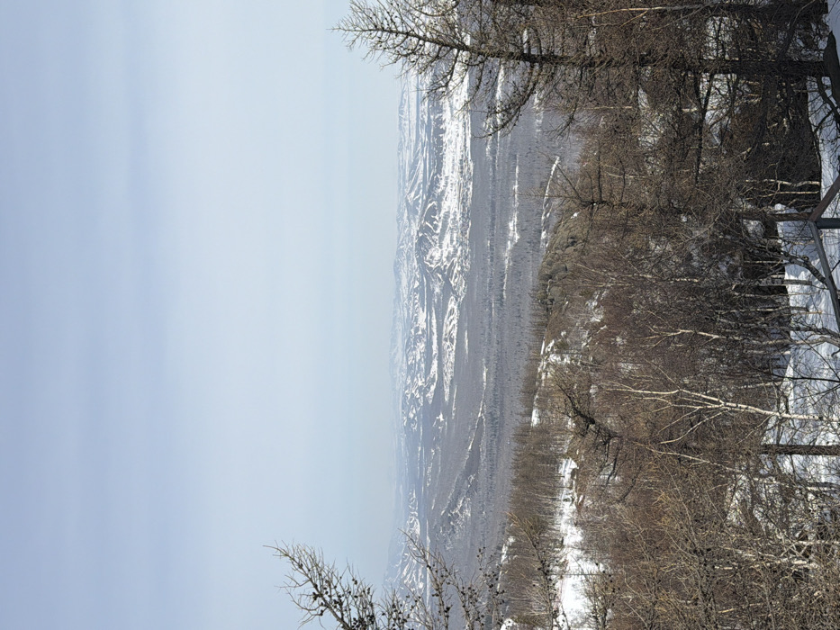 This image depicts a panoramic winter landscape from an elevated viewpoint in Zelenaya Polyana, Russia. The scene is dominated by snow-covered terrain under a light blue, hazy sky, which occupies the upper third of the frame. In the immediate foreground, sparse, bare deciduous trees, primarily birches with white bark, and darker coniferous trees with visible cones and needles (likely larch) are present. Patches of snow cover the ground, interspersed with exposed brown soil and dark rocks. A dark, partial railing or structure is visible in the bottom right corner. The mid-ground features a vast expanse of snow-dusted evergreen forest covering undulating hills and a valley floor. In the distant background, multiple layers of snow-capped mountains and hills extend to the horizon, appearing lighter and bluer due to atmospheric perspective. These distant hills exhibit varied patterns of white snow and darker forested areas, with some suggesting cleared or skiable slopes. No people, specific actions, or interactions are visible.