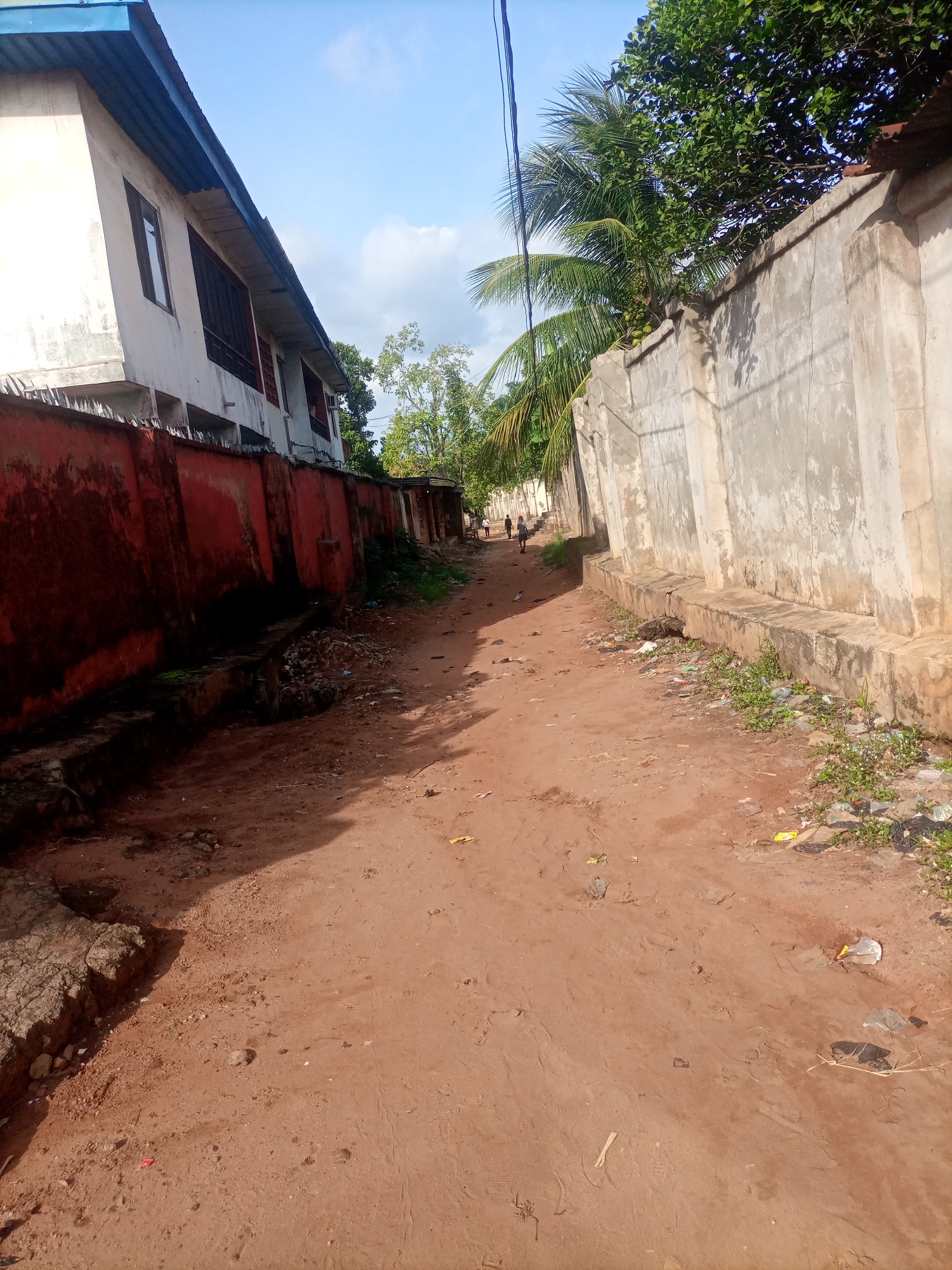 The image shows a dusty, unpaved alleyway in Nkpor, Nigeria. On the left, a multi-story building with a blue roof and white exterior walls stands behind a red-painted concrete wall topped with barbed wire. The building has several windows, some with bars. The red wall appears weathered and shows signs of moss and discoloration. The ground in the alleyway is reddish-brown dirt, littered with debris, including plastic bags and wrappers.
On the right side of the alley, a tall, light-colored concrete wall runs along the property line. This wall also has a concrete foundation and shows some signs of wear and tear. Vegetation, including trees with green leaves and palm fronds, can be seen overhanging the walls and in the background. A few people are visible in the distance, walking along the alleyway. The sky is blue with some scattered clouds. The overall scene depicts a somewhat neglected urban environment.