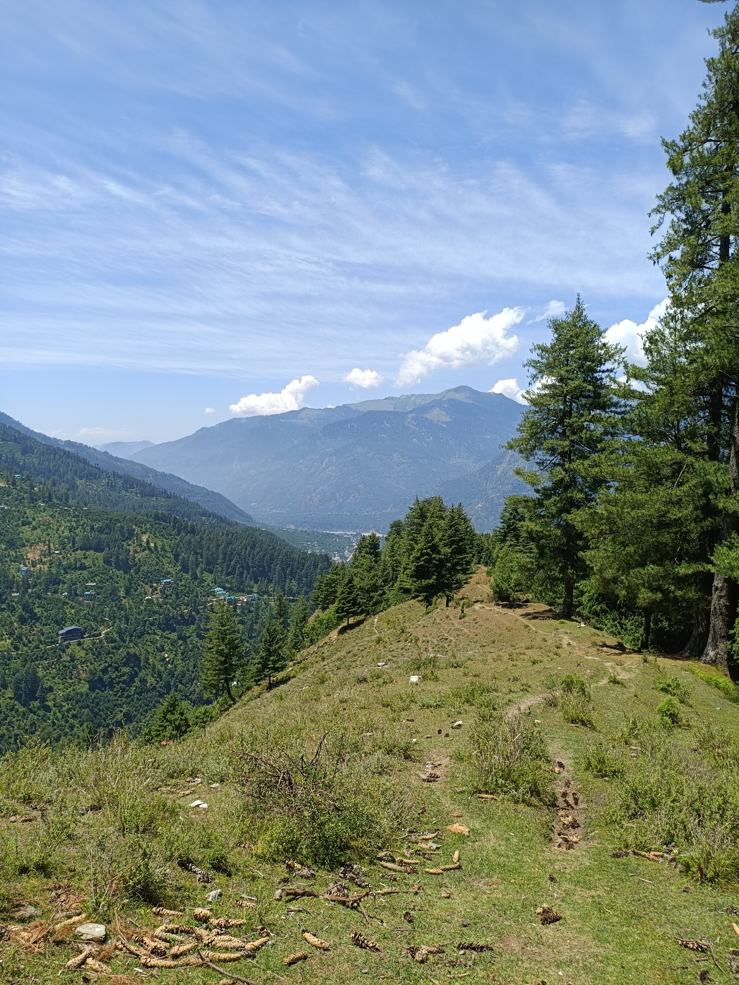 The image captures a panoramic view of a mountainous landscape, likely in the vicinity of Sharn, India. The scene is dominated by lush green hills covered in dense forests of pine trees. In the foreground, a grassy slope is scattered with pine cones. A narrow dirt path winds its way up the hill.
In the mid-ground, the landscape recedes into a valley dotted with scattered houses and buildings, suggesting a rural or semi-urban settlement within the mountainous terrain. The valley is further embraced by rolling hills and the majestic presence of layered mountains stretching into the hazy distance. The distant mountains appear in shades of blue and gray, indicating atmospheric perspective.
The sky above is a vibrant blue, punctuated by wispy cirrus clouds and a few larger cumulus clouds, suggesting fair weather conditions. The overall impression is one of natural beauty and serene mountain scenery.