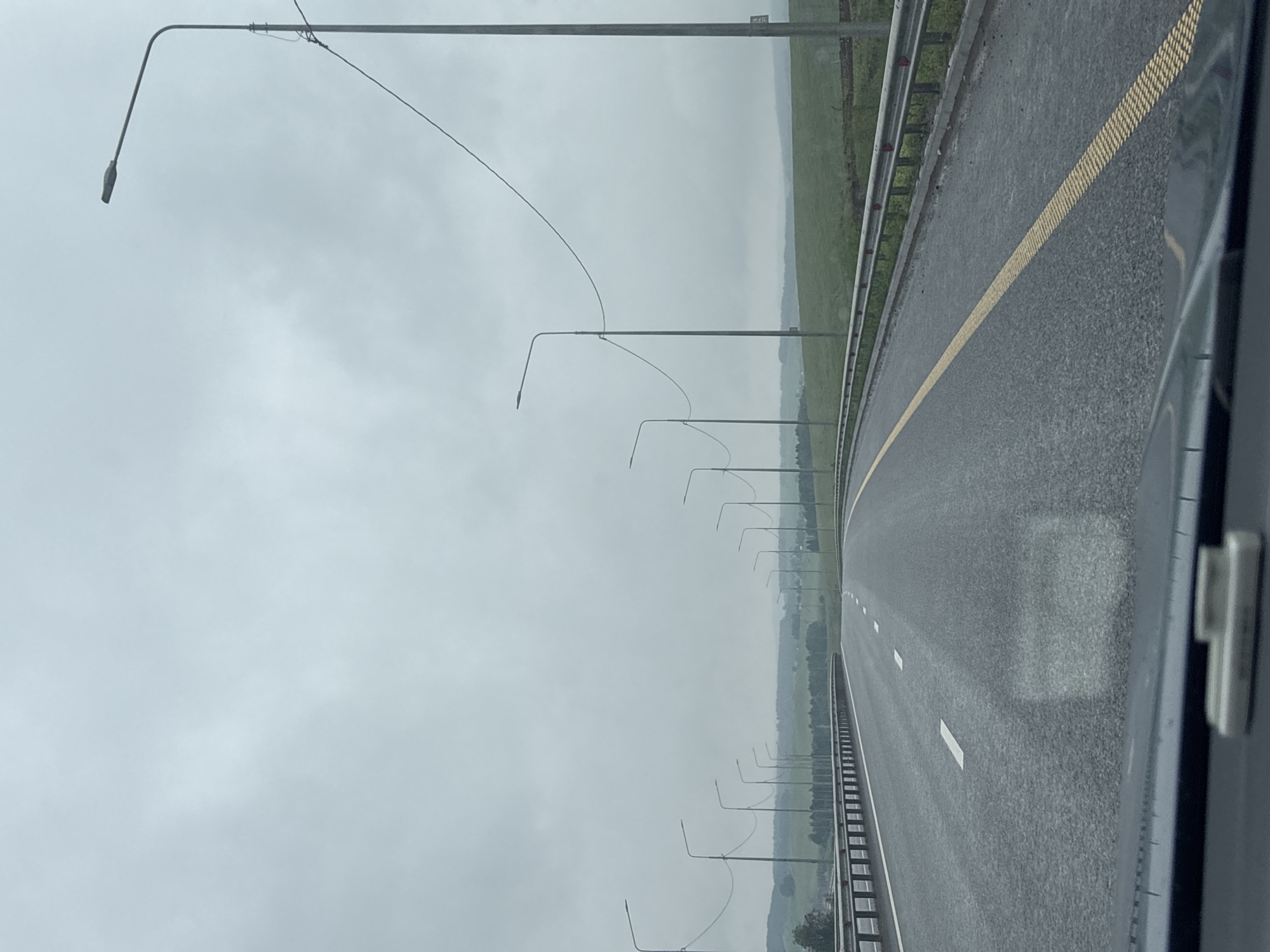 The image, taken from a moving vehicle, displays a long, straight highway under an overcast sky, with the original photo rotated 90 degrees. A wide, dark asphalt road dominates the lower half of the frame, featuring a textured yellow rumble strip along the right shoulder and white dashed lane markers further left. A metal guardrail runs parallel to the road on the right, beyond which lies a vast, flat expanse of green fields extending to a muted, hazy horizon.
On the left side of the road, a repetitive sequence of tall, slender streetlights stretches into the distance, their curved arms supporting light fixtures. Overhead wires connect some of these poles. The sky is uniformly light gray, indicating a heavily cloudy day without direct sunlight, contributing to a subdued and expansive atmosphere. A sliver of the vehicle's interior, possibly a window frame, is visible on the far right edge. The scene depicts a journey on a rural or semi-rural highway, likely near Savaleevo, Russia, characterized by its linear infrastructure and open landscape. No explicit text is clearly visible within the main scene.
