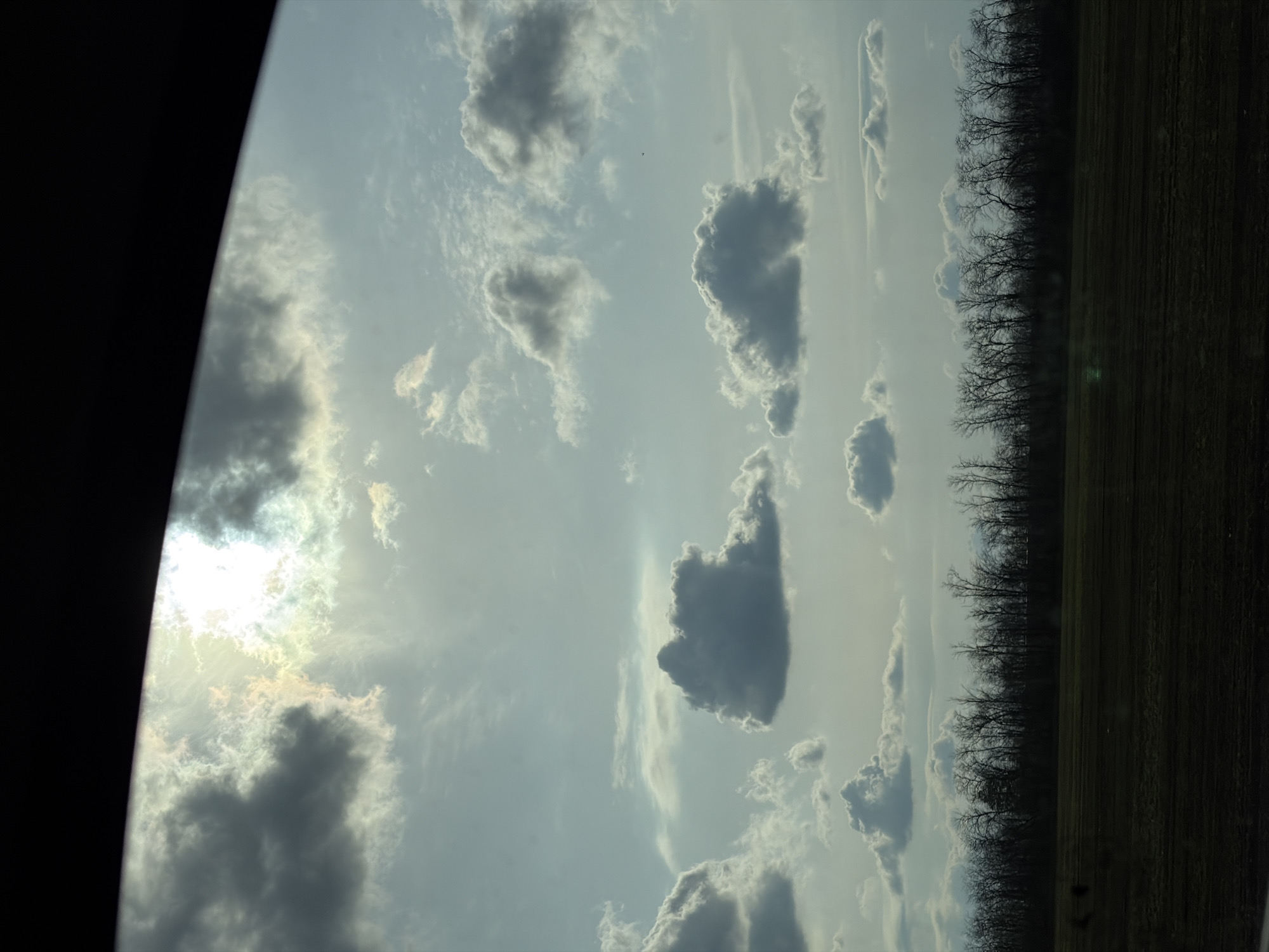 A landscape photograph, likely taken from a vehicle, captures a vast, cloudy sky above a treeline and field. The image appears to be rotated 90 degrees clockwise; if correctly oriented, a dark, curved element, possibly part of a car's window frame or dashboard, would occupy the bottom portion of the frame.
The sky dominates the scene, featuring a mix of bright, diffused sunlight partially breaking through wispy clouds on the bottom-left, and darker, denser grey cumulus clouds scattered throughout. The sky color transitions from bright white and light yellow around the sun to a soft, muted grey-blue.
Across the middle-right section of the correctly oriented image, a distinct line of bare trees, possibly a forest edge or grove, stands in dark silhouette against the brighter sky, indicating late autumn, winter, or early spring. Above the treeline, extending to the top-right corner, is a dark, expansive field, likely fallow or recently tilled. No specific activity or individuals are visible. The overall impression is a serene, natural landscape under a cloudy daytime sky. No text is visible in the image. The location is Timashevsk, Russia.