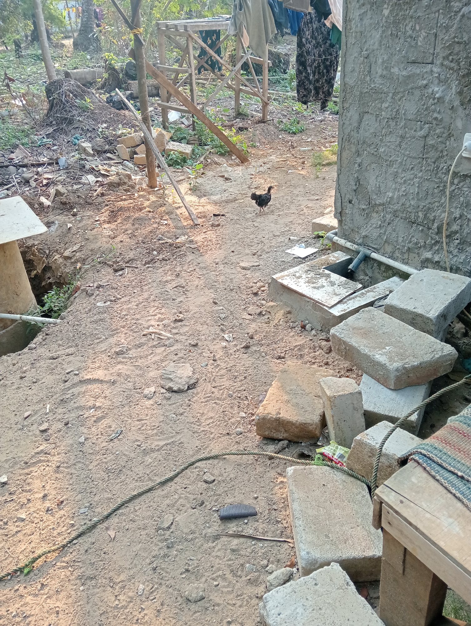 This image depicts an outdoor scene in what appears to be a rural or semi-rural area in Muara, Indonesia. The foreground is dominated by sandy ground with scattered debris, including broken bricks, pieces of concrete, and a green rope. A small black chicken is visible walking on the dirt path in the middle ground. To the right, a rough concrete wall is prominent, with a white electrical cord running down its surface. In front of the wall, there is a concrete structure with an opening, possibly a drain or a manhole, and several large concrete blocks are stacked nearby. Further in the background, there is a wooden scaffolding structure with clothes hanging on it, and dense vegetation with trees. The overall impression is one of an unkempt or under-construction outdoor space.