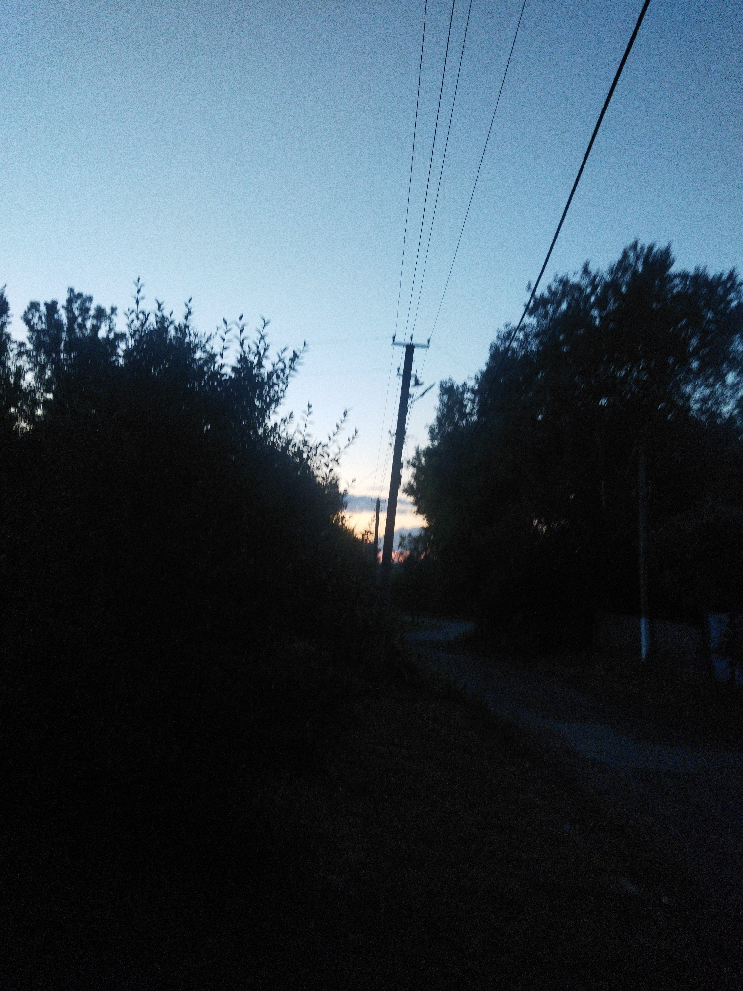 The image depicts a dimly lit outdoor scene, likely at dusk or dawn, with a clear sky transitioning from deep blue to lighter hues towards the horizon. Silhouetted against the sky are several power lines strung between poles. On the left side of the frame, dense, dark foliage forms a prominent silhouette, suggesting trees or bushes. A utility pole with visible crossbars is positioned slightly left of center. To the right, more trees are visible, also in silhouette. The ground appears to be a dirt road or path, with some indistinct shapes that could be vegetation or other natural elements. The overall impression is one of a rural or semi-rural setting in Sosnivka, Ukraine, characterized by the presence of power infrastructure and natural vegetation. There are no people or active events depicted in the image.