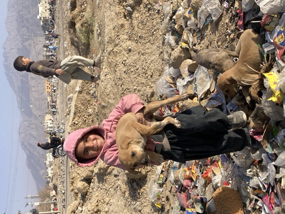 The image depicts an outdoor scene in Quetta City Tehsil, Pakistan, characterized by a desolate, unpaved landscape heavily strewn with refuse. In the foreground, a young child, approximately 5-8 years old, wearing a pink hooded sweatshirt and dark pants, stands amidst dirt, rocks, and an extensive accumulation of plastic waste and discarded items. The child holds a light brown puppy in their arms, smiling and looking directly towards the viewer. Near the child's feet, at least two other puppies are visible on the ground; one light brown puppy is lying down, and another darker puppy is partially obscured by debris.
In the mid-ground, a second young boy, wearing a dark top and light baggy shalwar, walks left-to-right on an elevated dirt mound. The background features a broader open area with more scattered debris, leading to a paved road where a person on a motorcycle and several other individuals are visible. Utility poles and low-rise structures line the distant road. The horizon is dominated by large, rugged, arid mountains under a pale blue, hazy sky. The scene is illuminated by bright daylight.