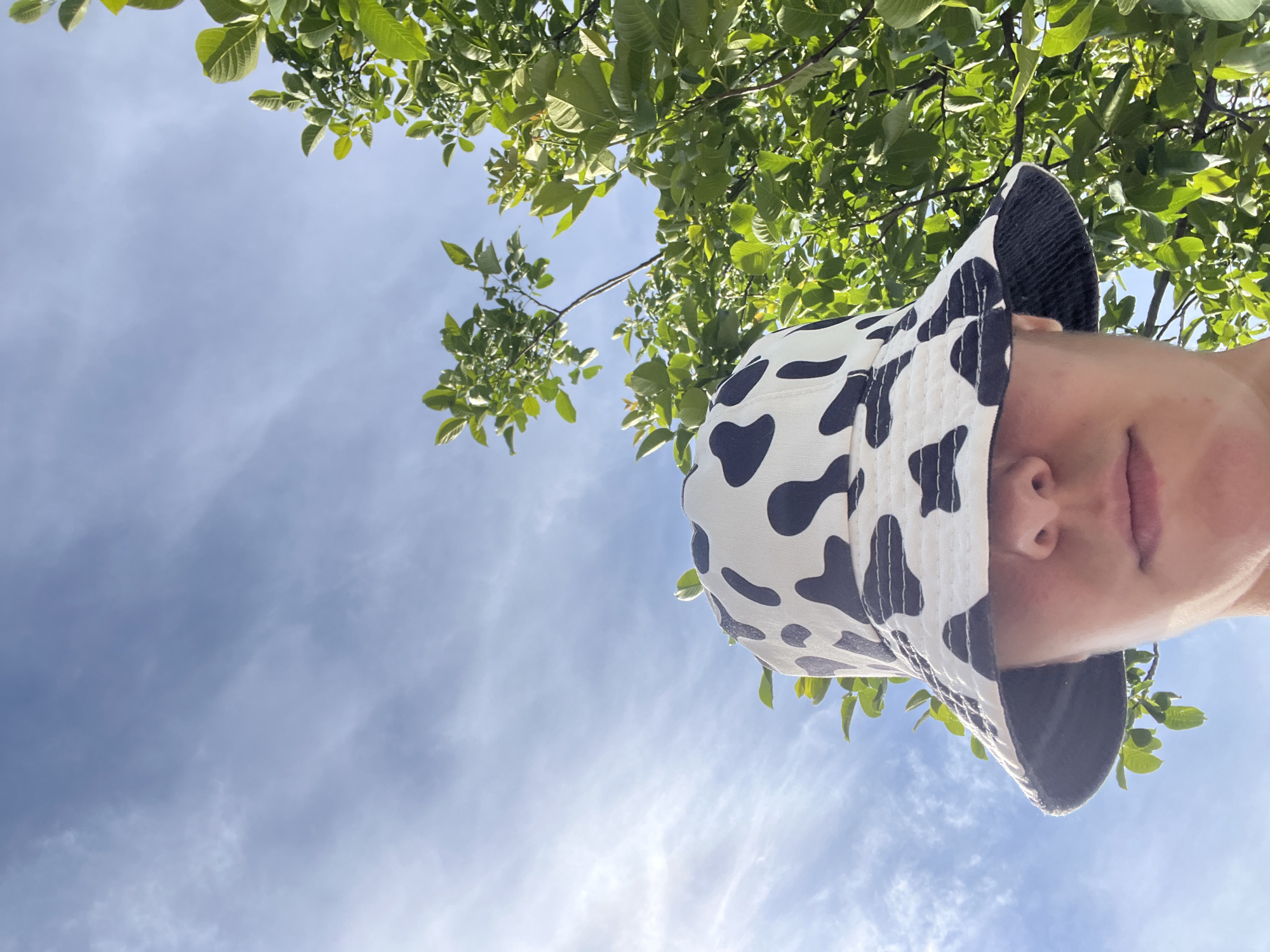 A low-angle shot of a person with a white and black cow-print bucket hat, positioned in the upper right of the frame. The person's nose and mouth are visible. Above and to the left of the person, green leaves fill the upper portion of the image, suggesting the person is beneath a tree. The sky, pale blue with subtle clouds, occupies the majority of the left side of the frame. The location appears to be outdoors during daylight hours. Palilula Urban Municipality, Serbia is not discernible from the image alone.