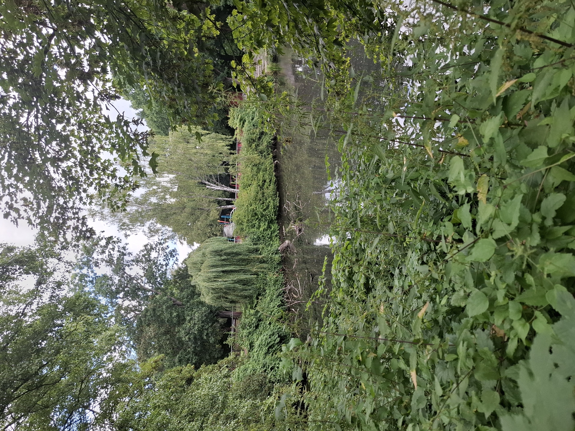 This is a medium-shot photograph of a pond surrounded by dense greenery and trees. The water surface is dark and reflective, with some debris and fallen branches visible on it. The foreground is dominated by lush, green vegetation, appearing somewhat overgrown. In the middle ground, a weeping willow tree with its characteristic cascading branches stands out on the bank. Behind the willow, a row of deciduous trees and some birch trees are visible. In the distance, parts of a playground structure with red and blue elements can be seen, peeking through the foliage. The sky above is overcast and bright. The overall setting appears to be a park or natural area within a city. This scene is located in the Stadtpark, Hamburg, Germany, specifically near the playground area on the southern side of the Stadtparksee (city park lake). There are no people or animals visible in the frame.