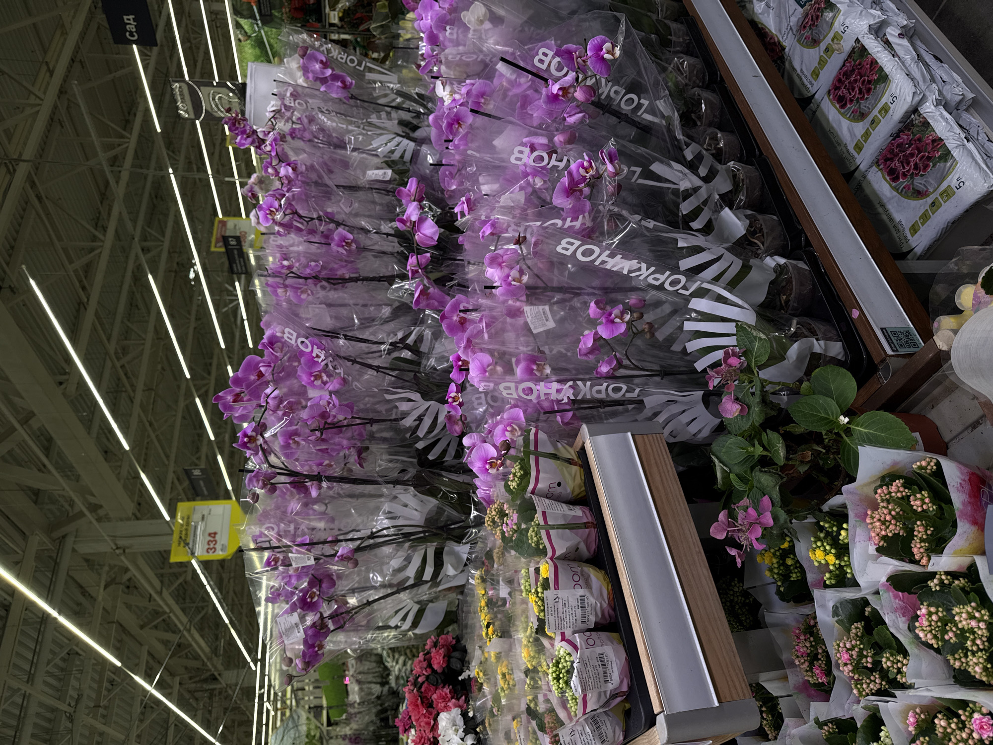 The image depicts an indoor scene, likely in a retail environment such as a supermarket or garden center, located in Izhevsk, Russia. Rows of potted plants and packaged flowers are arranged on shelves. The flowers include purple orchids, kalanchoe in various colors, and other potted plants. The flowers appear to be for sale. Price tags are visible on some items. Bags of potting soil are also on the shelves. The environment seems well-lit, with overhead fluorescent lights. The text "ГОРКУНОВ" is visible on the packaging of some of the orchids.