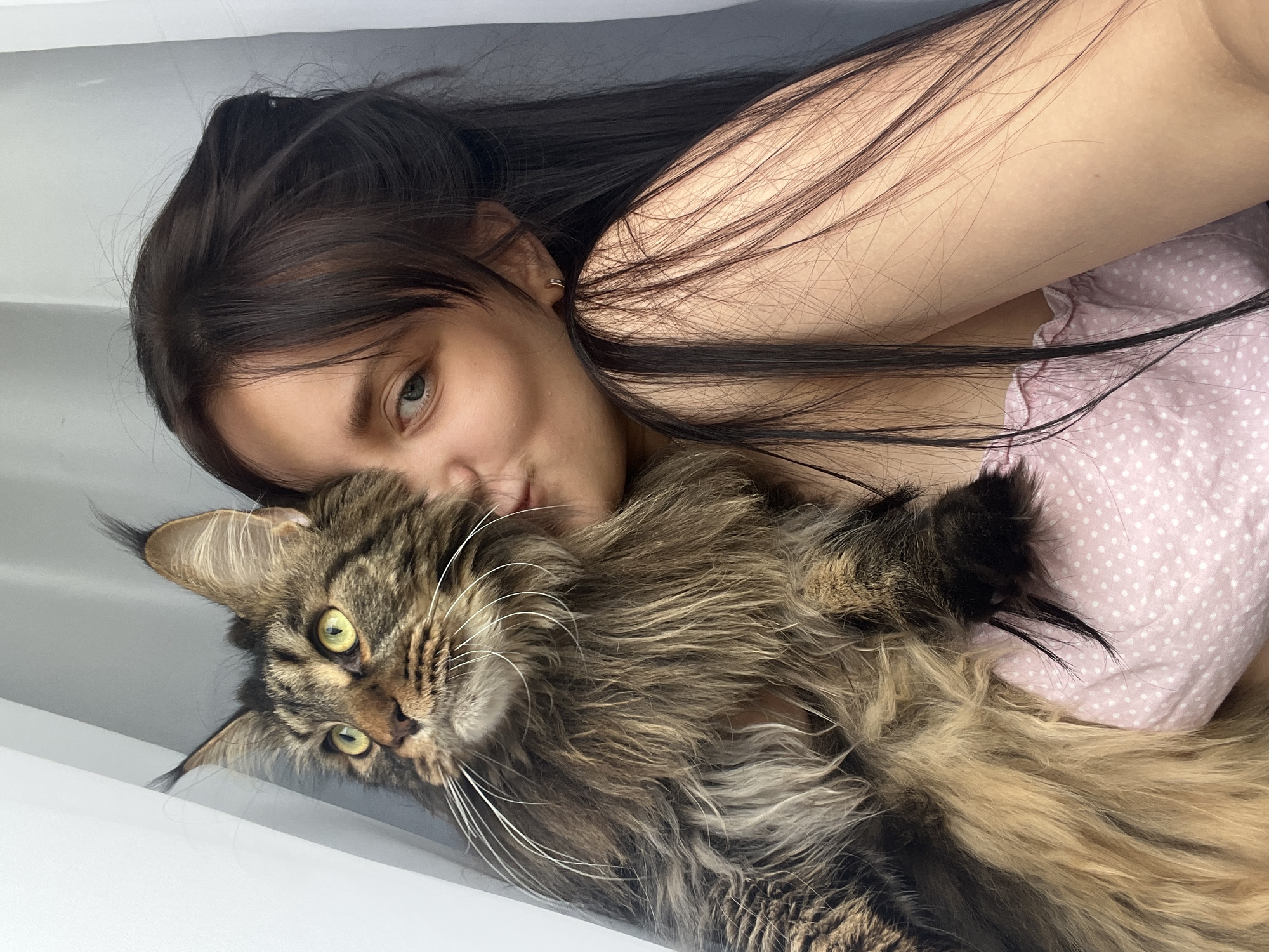 In this image, a young woman with long, dark hair and green eyes is lying down, holding a large, long-haired cat. The woman is wearing a pink polka-dot top. She is looking towards the camera with a playful expression, puckering her lips. The cat, which appears to be a Maine Coon, has striking green eyes and a thick, fluffy coat in shades of brown and gray. Its attention is also directed towards the camera, with its ears perked up. The background is a plain, light-colored surface, suggesting an indoor setting. The lighting appears natural, possibly indicating daytime. The overall mood of the image is affectionate and relaxed, capturing a moment of bonding between the woman and her pet.
