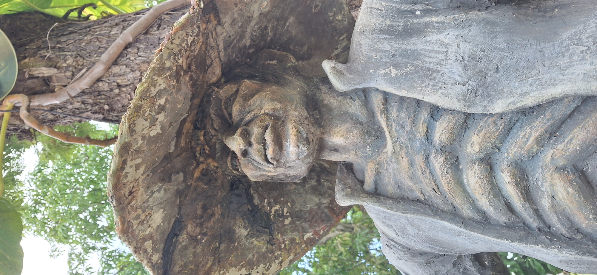A close-up, low-angle, vertical outdoor photograph depicts a weathered, textured sculpture of a person's head and upper torso. The subject wears a large, wide-brimmed hat that casts a shadow over their face, obscuring the eyes. The face appears to be that of an elderly person with visible wrinkles and a stern expression. The sculpture's chest is sculpted to resemble ribs, and the body is covered by a jacket-like garment. The material of the sculpture appears to be a rough, aged substance, possibly concrete or stone, with patches of discoloration and wear. Behind the sculpture, a large tree trunk with vines is visible, and the background shows blurred green foliage and a bright sky, suggesting an outdoor setting within a natural or park-like environment. The location is identified as Vallecito, Venezuela.