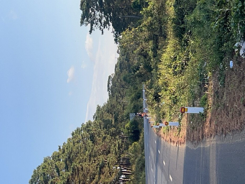 The image displays a two-lane asphalt road curving right through a forested area in Ea Ksô, Vietnam, under a clear blue sky. The road features a broken white centerline and solid white edge lines. White posts with yellow and red reflectors line the right edge of the road, bordering a natural verge composed of dry grass, dense green undergrowth, and scattered plastic litter including a white bag and a blue bottle. Tall coniferous trees densely line the left side of the road and extend into the distant background. A single individual on a red motorcycle is visible in the mid-distance, traveling on the curving road away from the viewer, partially obscured by a roadside signpost. Minimal white clouds are present in the otherwise clear blue sky. Natural sunlight illuminates the scene.
