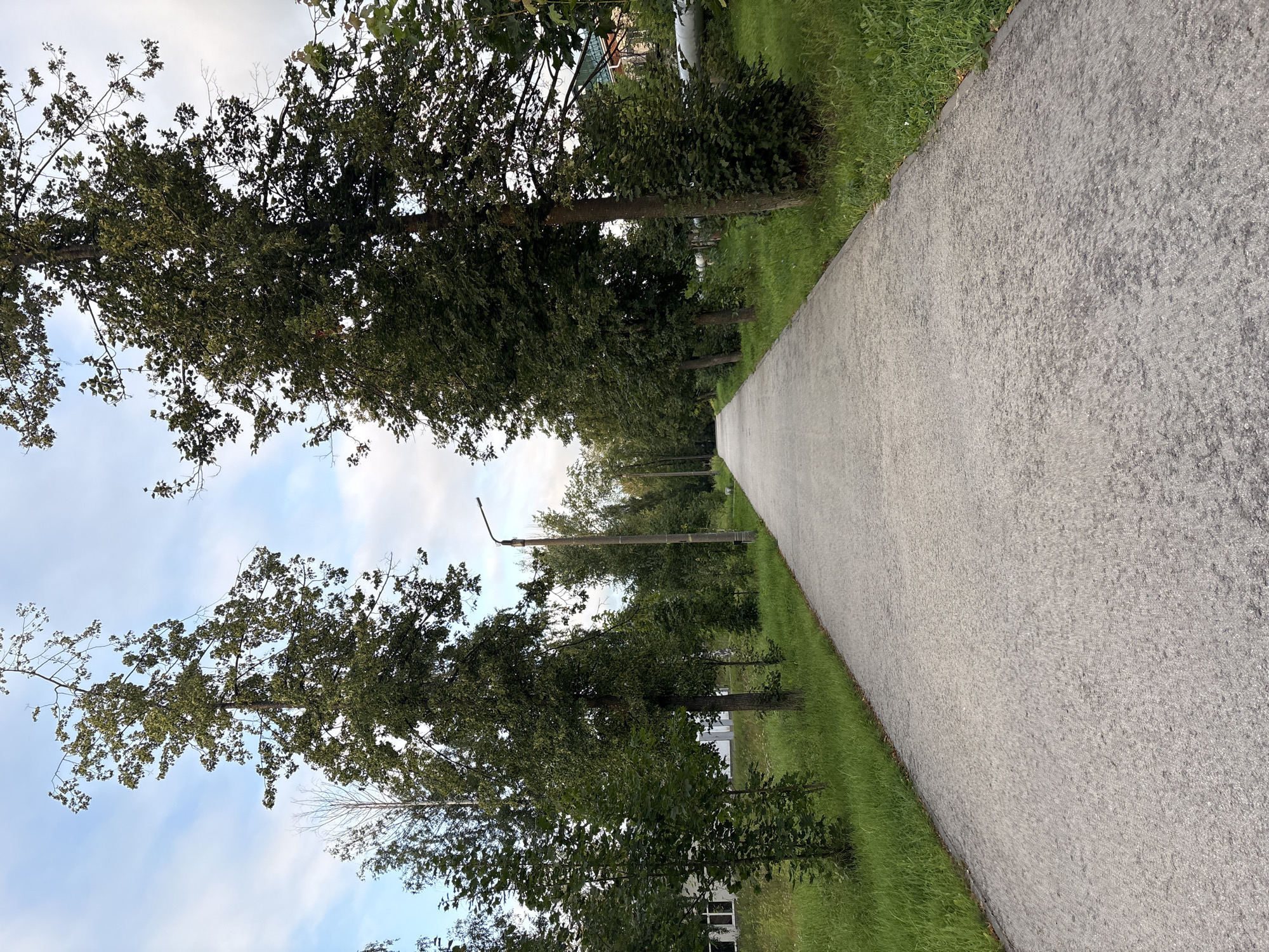 An image shows a paved walking path in a park in Krasnokamsk, Russia. The path is lined with green grass and trees on both sides. In the background, there are some buildings and a lamppost. The sky is partly cloudy.