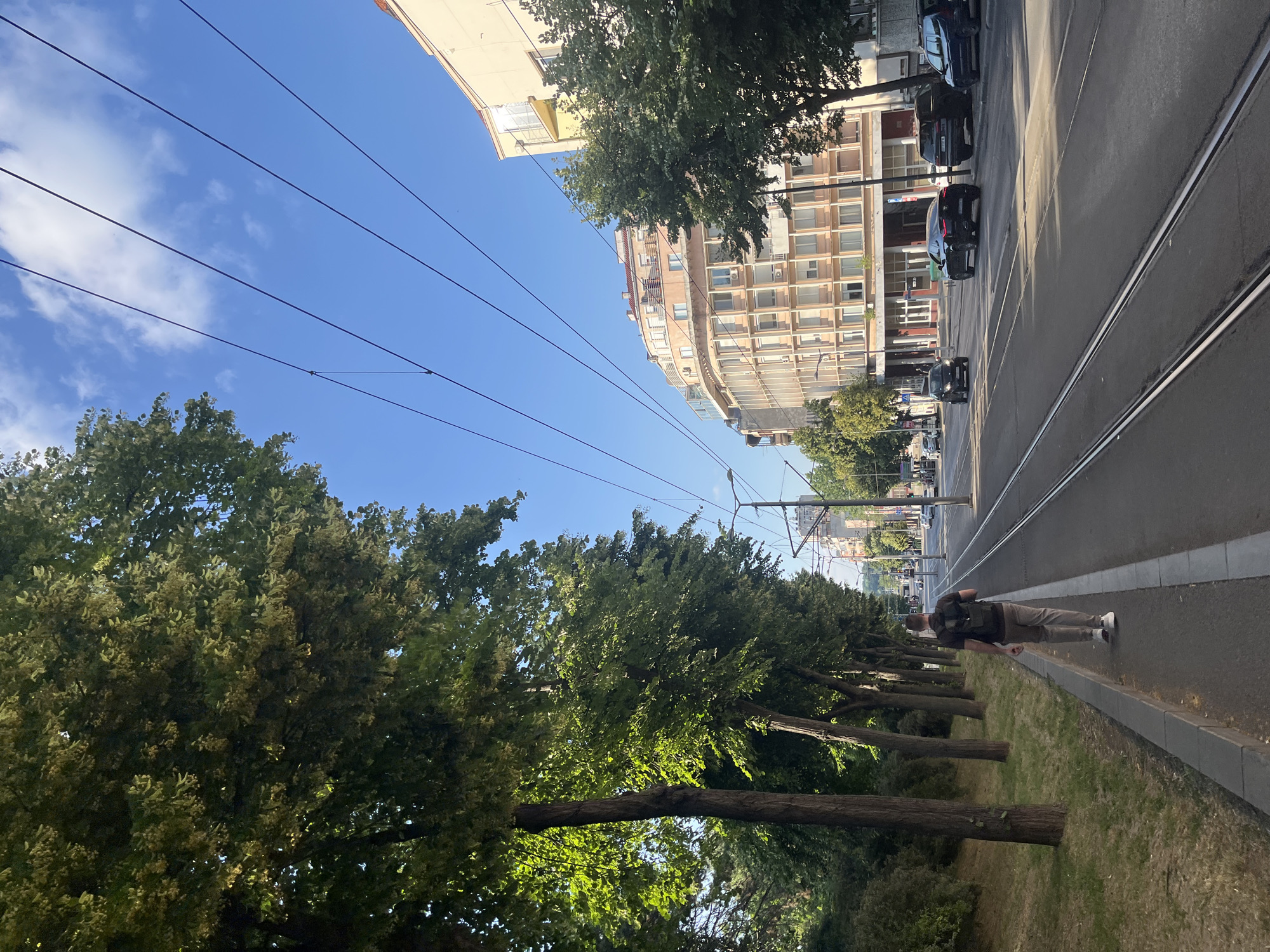 The image captures a vibrant street scene in Belgrade, Serbia, taken on a clear, sunny day. The perspective is oriented sideways, but when viewed upright, it shows a wide thoroughfare with tram tracks running parallel to a long, tree-lined park or green space.
In the foreground, a single person is seen from behind, walking away from the camera on a paved sidewalk. They are wearing light-colored trousers, white shoes, and a dark t-shirt or vest with a backpack. To their left, a row of mature trees with lush green foliage forms a natural boundary for a grassy area, likely a park.
To the right of the person and the green space, the tram tracks dominate the street. Several cars are visible further down the road, either parked or driving. Beyond the street, buildings line the horizon. One prominent building has a curved facade with many windows and balconies, suggesting modern or recently renovated architecture. Another building, partially visible at the top, appears to be older with a lighter-colored facade.
Overhead, numerous power lines or tram wires crisscross the bright blue sky, which has a few scattered white clouds. The sun is high, casting distinct shadows from the trees and buildings, indicating midday or early afternoon. No discernible text is visible on signs or buildings. The overall impression is that of a bustling yet calm urban environment.