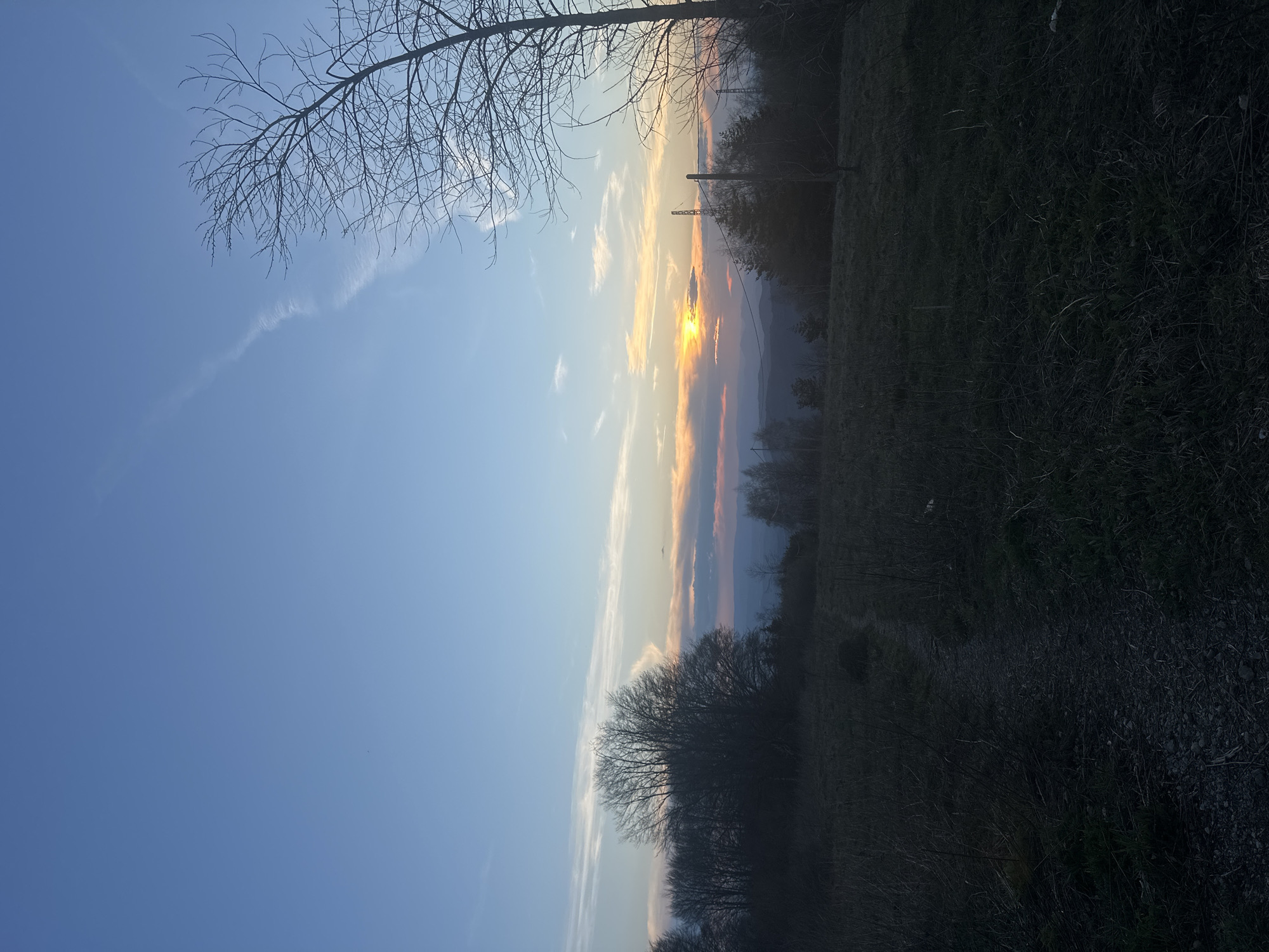 The image captures a landscape at sunset. In the foreground, branches of a bare tree are visible against a blue sky. Towards the center of the frame, the sun is partially obscured by clouds, casting an orange glow. Powerlines are visible in the background. The land is covered with trees. The image is rotated to the right. The specific location in Sofia, Bulgaria cannot be determined with available information.