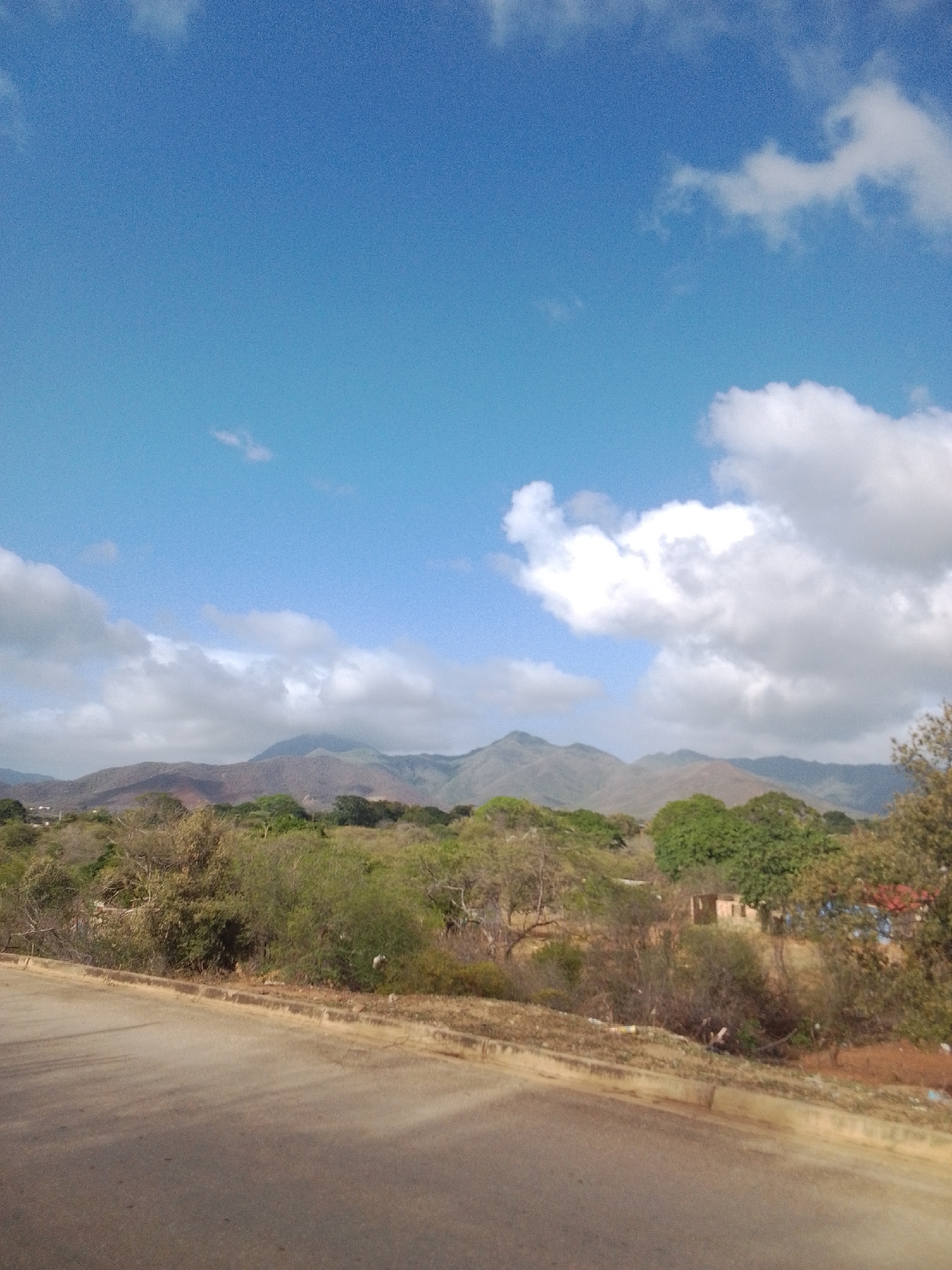 This image captures a daytime scene of a rural landscape under a bright blue sky with scattered white clouds. In the foreground, a paved road curves gently from the bottom left towards the center, with a dirt shoulder and sparse vegetation on its right. Beyond the road, a diverse range of trees and shrubs populate the middle ground, with some appearing dry and others lush and green. In the background, a series of undulating mountains stretch across the horizon, their slopes a mix of brown and green, with the tallest peak most prominently featured in the center. The sky is a dominant element, filled with soft, cumulus clouds. While the image depicts a natural environment, there are subtle signs of human presence, including what appear to be structures or buildings partially obscured by the foliage in the middle ground on the right side. The overall impression is one of a sunny, somewhat arid, natural setting with hints of habitation.