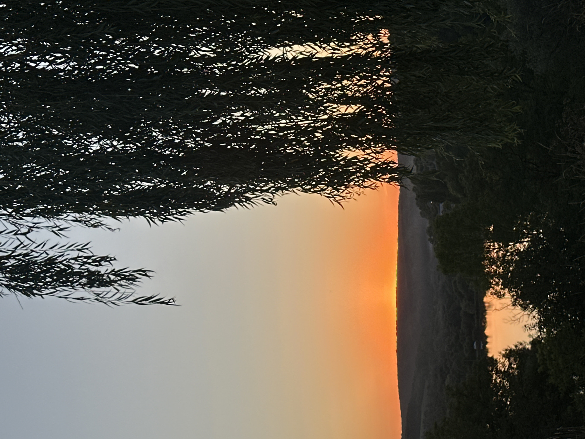 A sunset over a tranquil landscape, likely in or near Makiv, Ukraine. The sky is a gradient of soft blues and warm oranges, with the sun a sliver on the horizon, casting a warm glow. In the foreground, the dark, weeping branches of a tree frame the scene, with their leaves silhouetted against the colorful sky. Below the tree line, rolling hills covered in dense, dark green foliage descend towards a calm body of water. The water reflects the warm hues of the sunset, creating a mirror image of the sky. A small, white object, possibly a vehicle or building, is visible near the water's edge. The overall impression is one of serene, natural beauty at dusk.