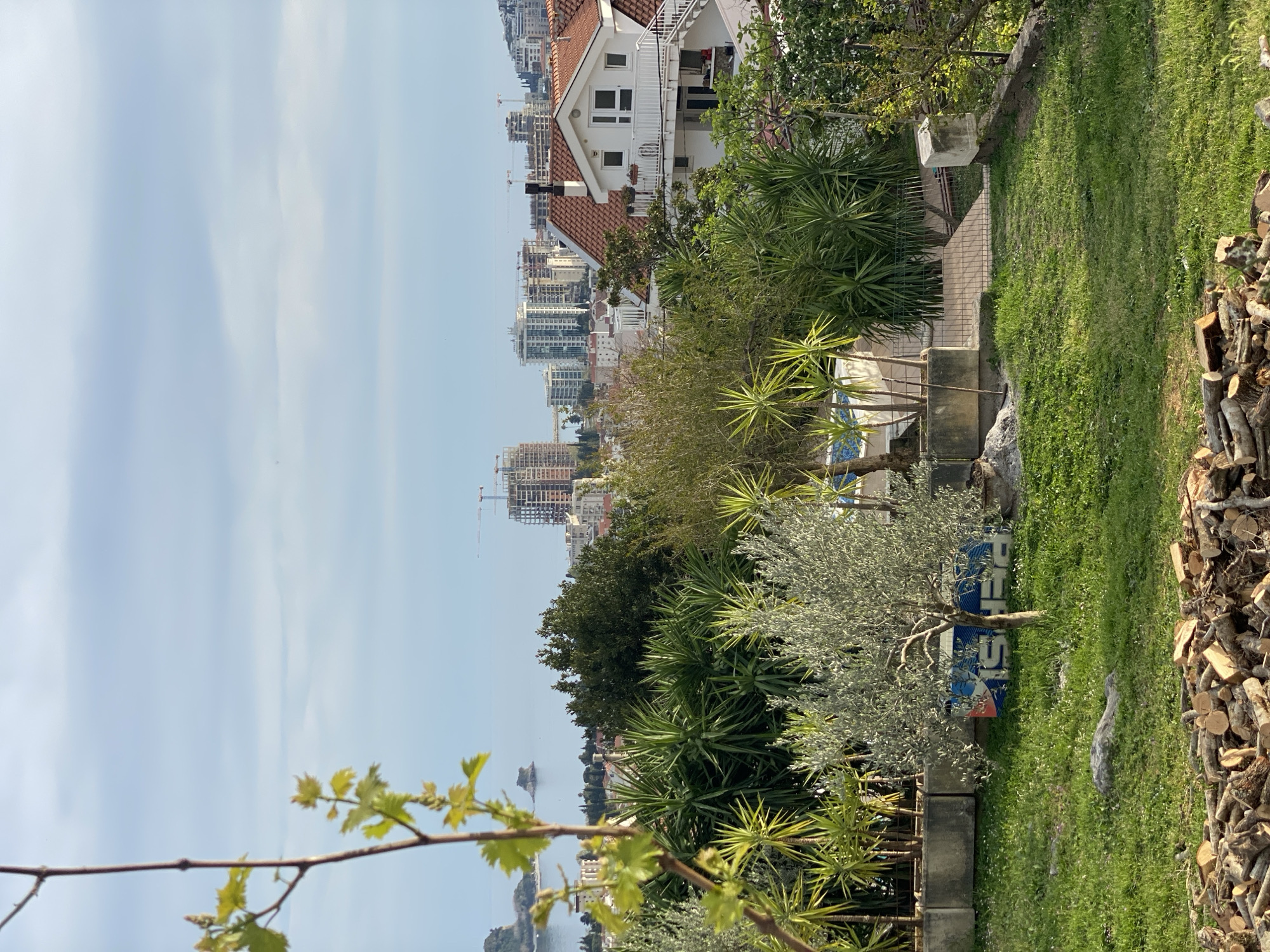 This image depicts a scene in Budva, Montenegro, observed from an elevated position. The foreground shows a garden featuring various plants, including palm-like yucca and an olive tree, as well as a stack of chopped firewood and a weathered Pepsi advertisement. The midground presents a path leading towards a white building with a red-tiled roof, amidst further vegetation. Beyond the building, a skyline of Budva is visible, dotted with modern apartment complexes and construction cranes against a bright sky. The coastline and a distant island can be seen in the background, merging with the horizon.
