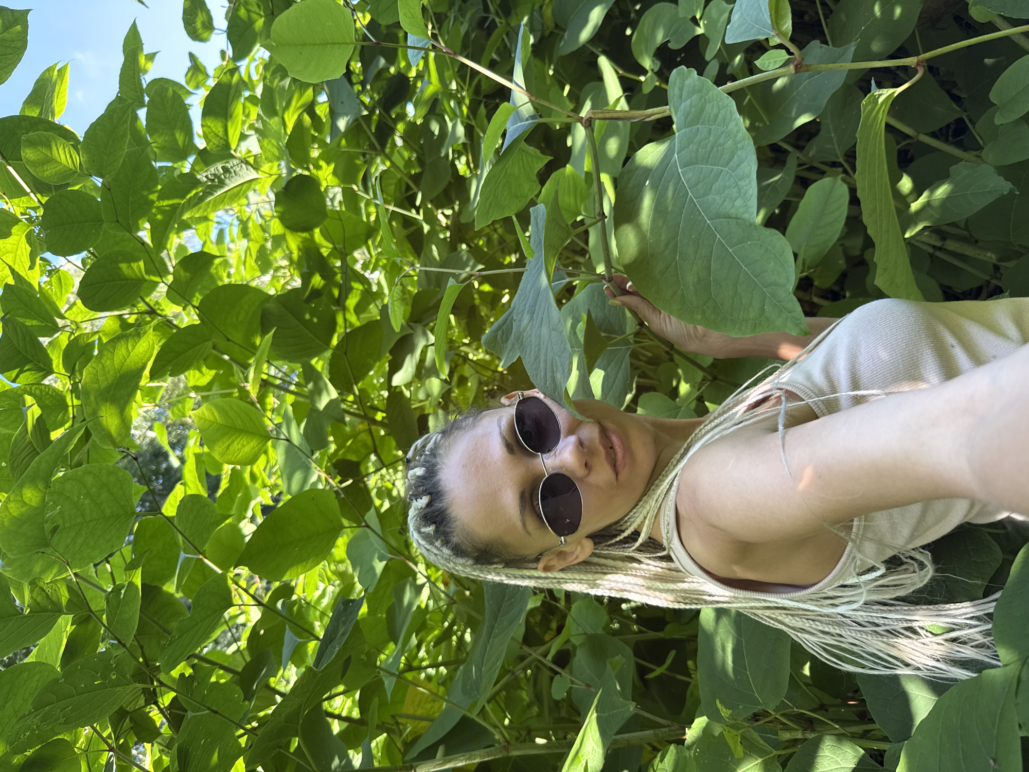 In Rusanovo, Russia, a woman with blonde braided hair and sunglasses poses for a selfie amidst dense greenery. She wears a light-colored tank top. The environment is characterized by lush, vibrant green leaves and stems, suggesting an outdoor natural setting. The lighting indicates it is daytime, with sunlight filtering through the foliage, creating shadows and highlighting the textures of the plants. The background is filled with the abundant plant life.