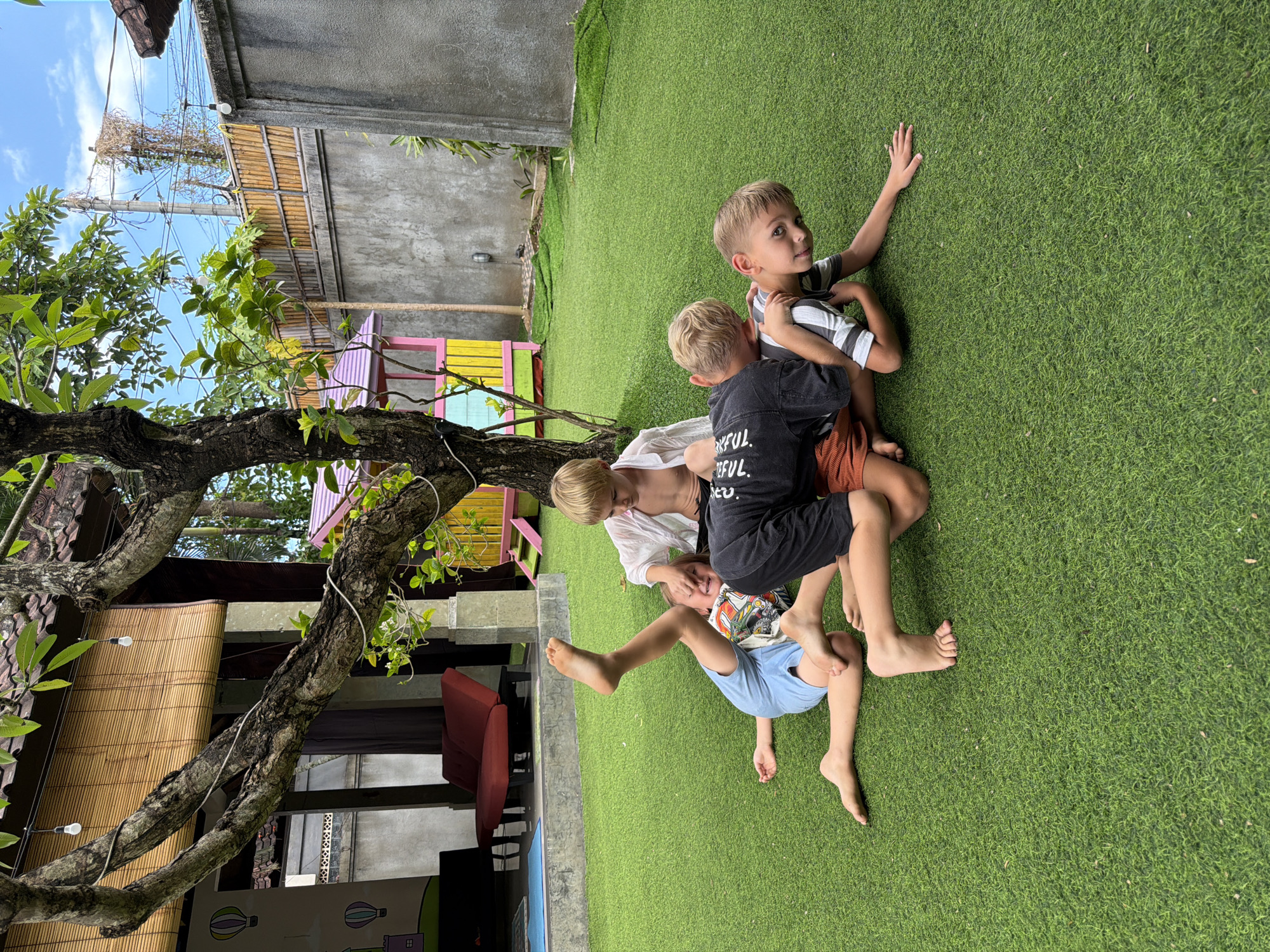 Three fair-skinned children are entangled on artificial grass, likely in a yard or playground in Kuta, Indonesia. The children are wearing casual clothes, including shorts and t-shirts. A tree with exposed roots and branches dominates the left side of the frame. Behind the tree, there's a building with colorful trim and a gray wall. The sky is partially visible in the upper left corner.