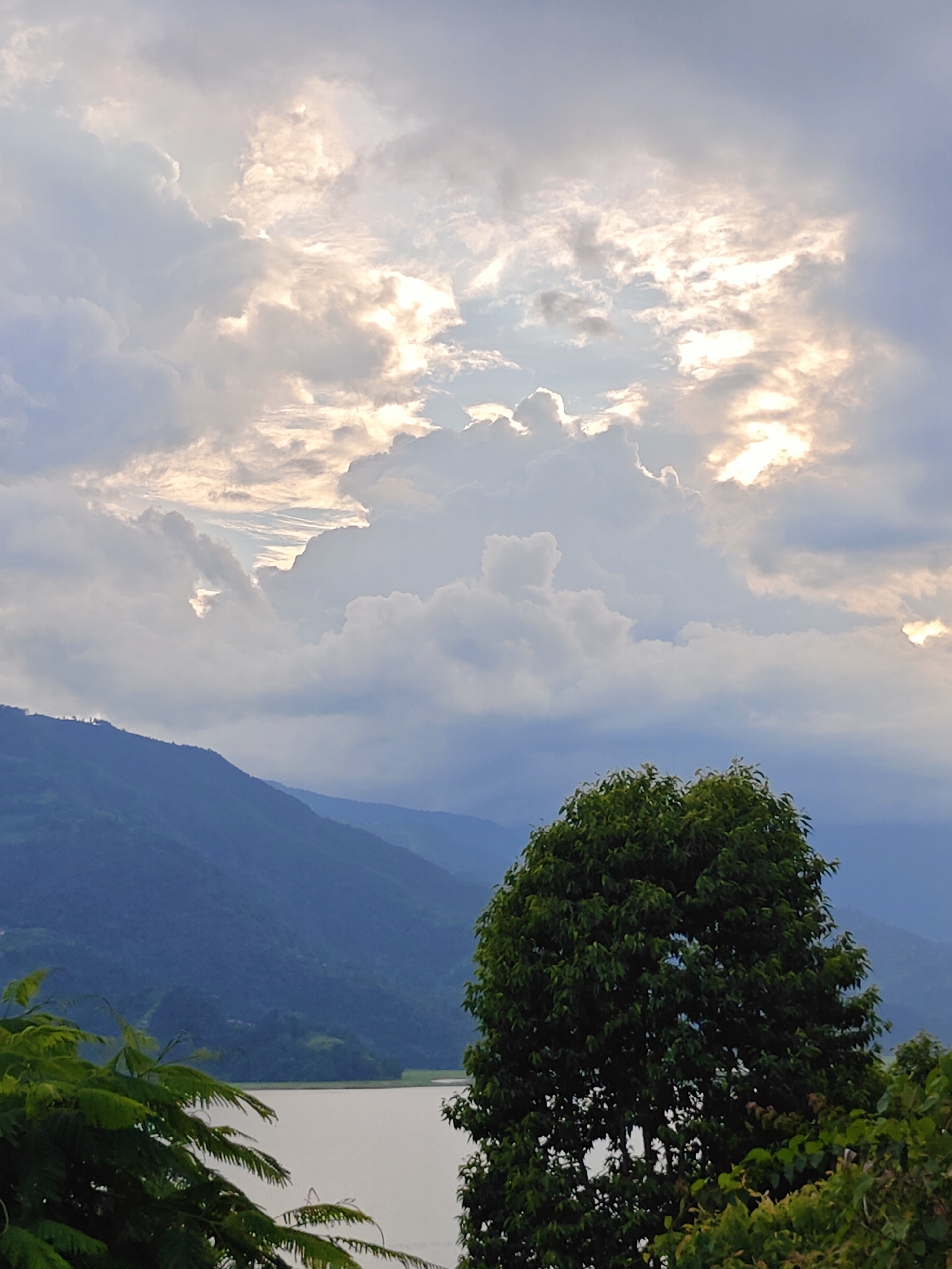 The image captures a serene view of Phewa Lake in Pokhara, Nepal, as illuminated by the soft glow of a cloudy sunset. The foreground features lush green trees and foliage, with a large, dense tree dominating the right side of the frame. Behind the trees, the calm waters of Phewa Lake stretch out, reflecting the muted colors of the sky. The middle ground is defined by rolling hills and mountains, their slopes covered in a deep blue-green hue, suggesting dense vegetation or the effects of distance and light. The sky above is a dramatic canvas of heavy, white and grey clouds, partially broken to allow shafts of golden sunlight to pierce through, creating a luminous effect in the upper central portion of the image. The overall atmosphere is tranquil and majestic, typical of the natural beauty of Pokhara.
