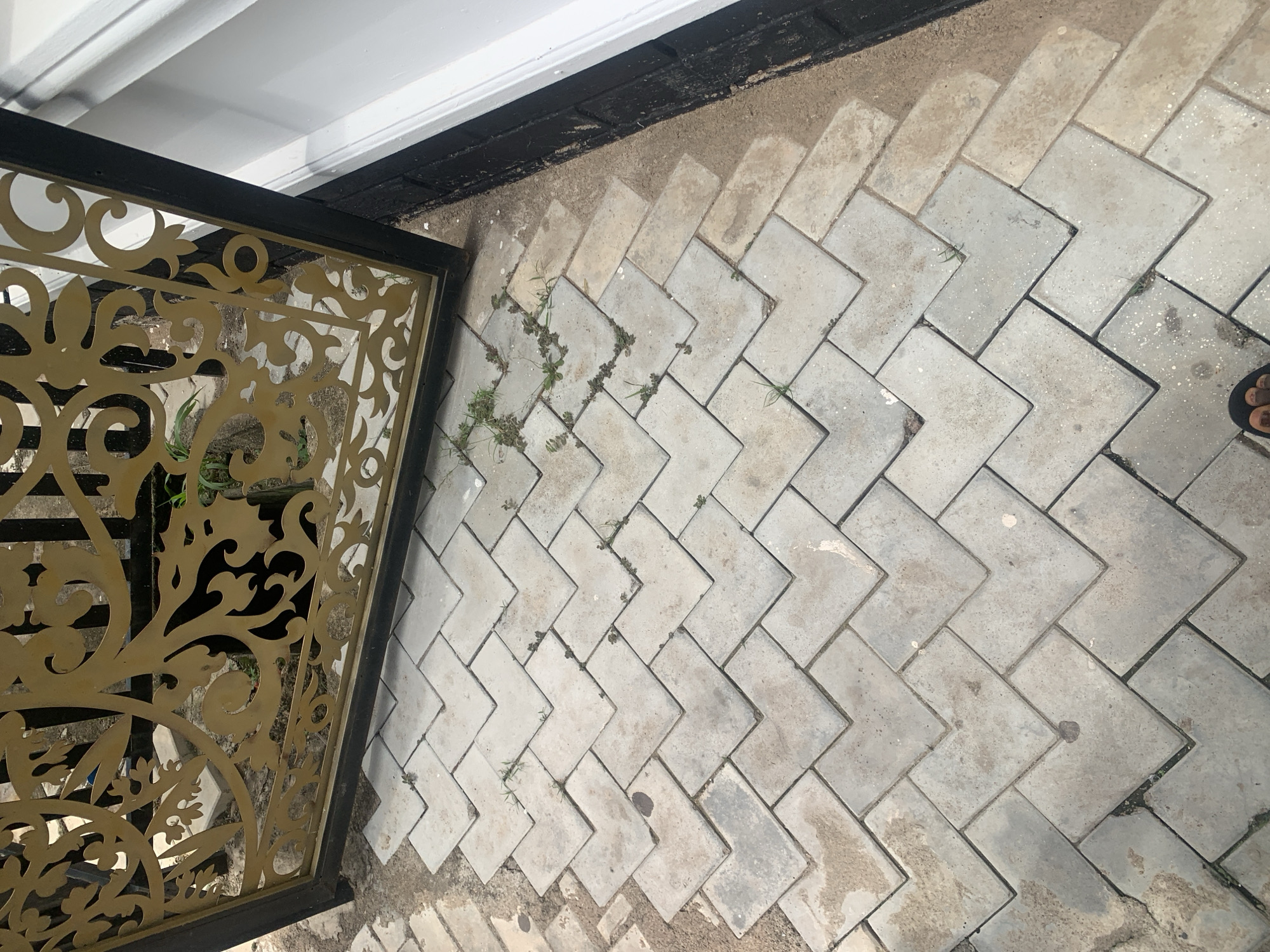 The image depicts a ground-level view of a paved walkway leading towards a decorative metal gate in Jauro Yinu, Nigeria. The walkway is constructed from light gray, square-shaped pavers arranged in a chevron pattern. Several small weeds are growing between the pavers, indicating the walkway may be new or undergoing construction. To the right of the walkway, a dark brick wall is visible, topped with a white structure. The metal gate is ornate, featuring intricate scrollwork in a golden hue. The overall scene suggests an exterior pathway in a residential or public area.