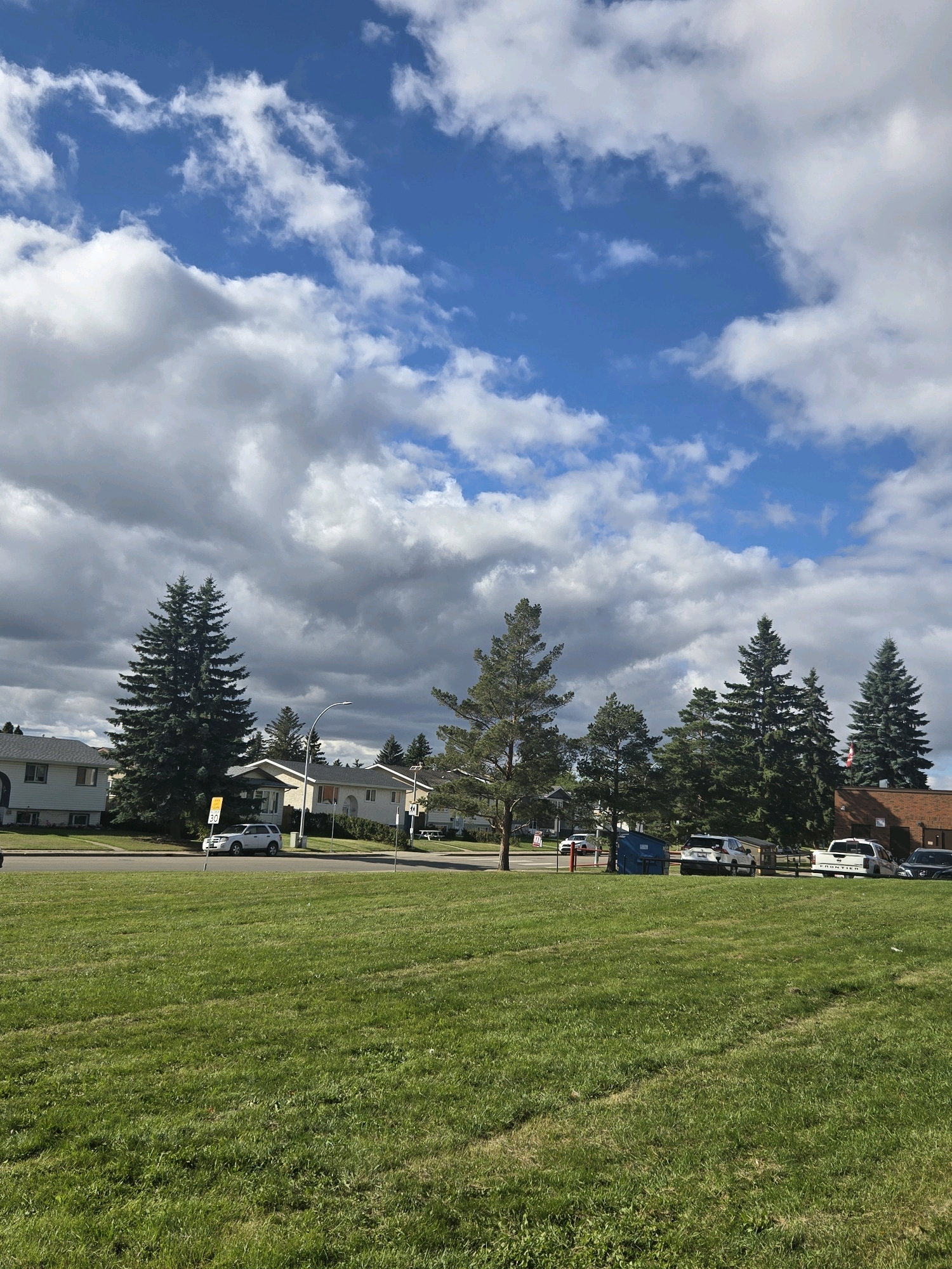 This image captures a residential street scene in Edmonton, Canada, under a dynamic sky with scattered white clouds against a bright blue backdrop. In the foreground, a vibrant green lawn stretches across the frame. Beyond the lawn, a paved road runs horizontally, with several vehicles parked along it. To the left, a white SUV is parked near a speed limit sign. A blue dumpster is also visible on the roadside. A line of coniferous trees forms a backdrop, interspersed with houses with light-colored siding and peaked roofs. A street lamp stands prominently in the middle ground. The overall impression is of a suburban neighborhood on a partly cloudy day.